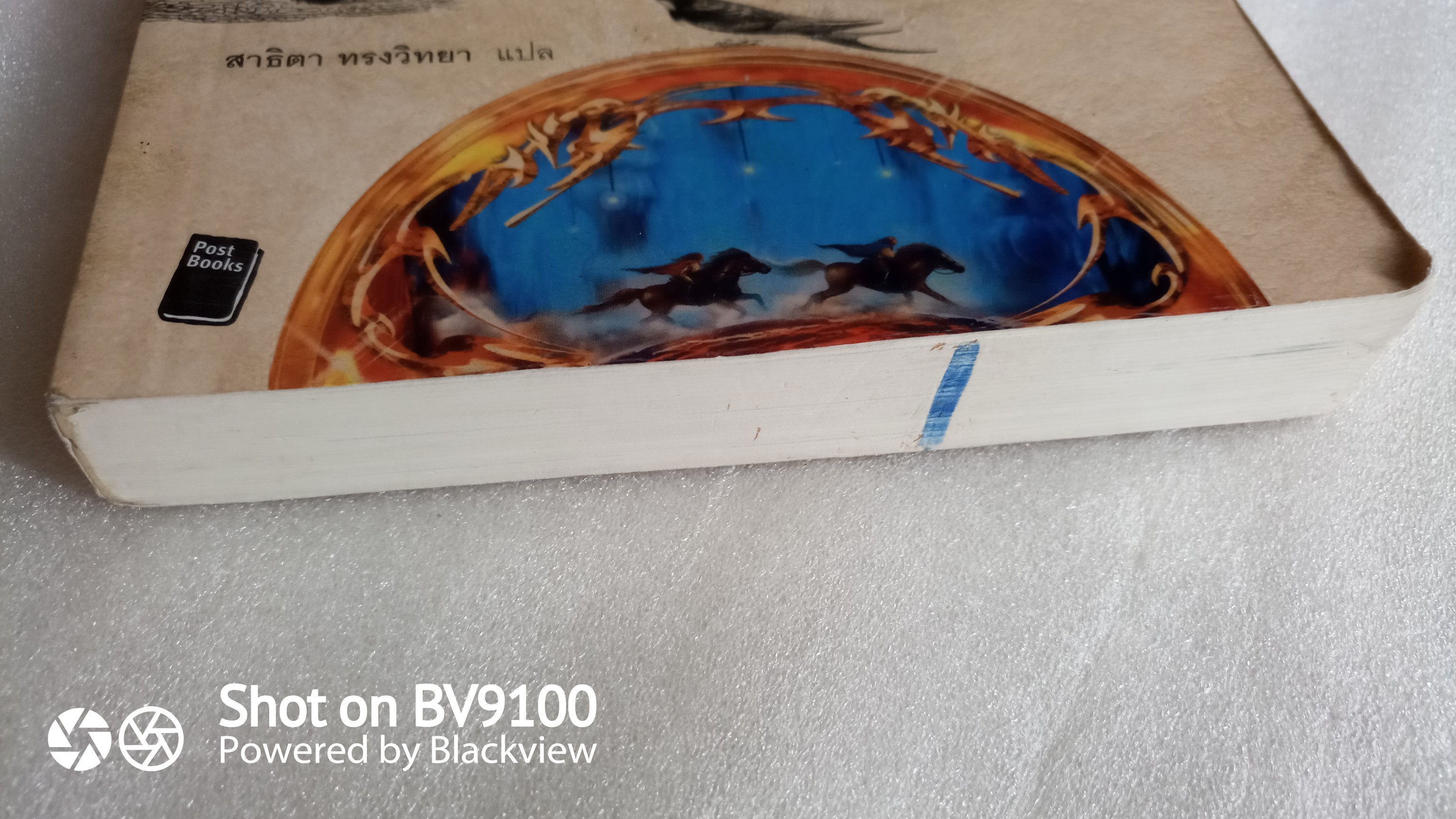 วิล วูล์ฟกิน ราชบัลลังก์ใต้ธารน้ำแข็ง / สตีเว่น ไนท์