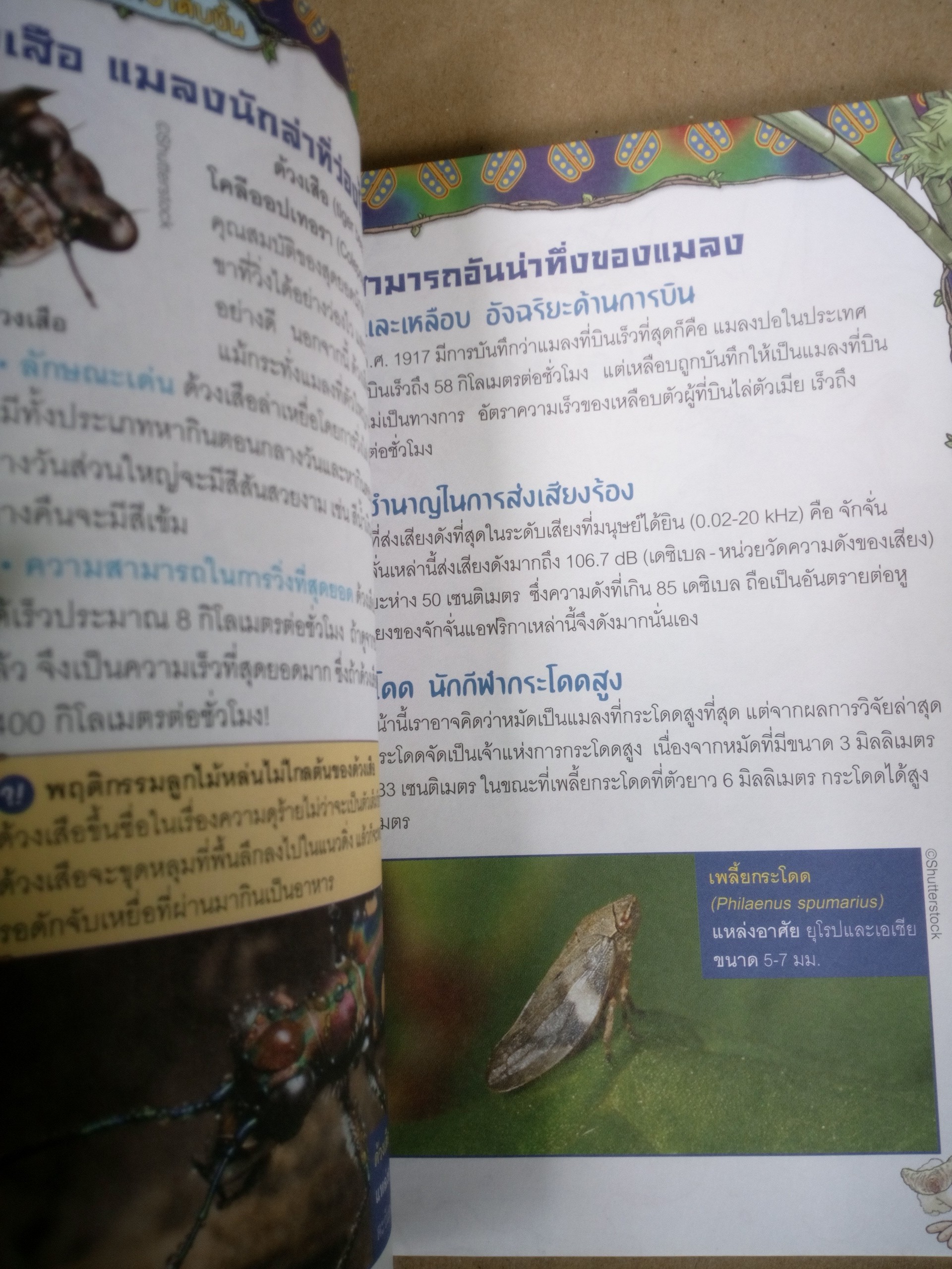 เอาชีวิตรอดตะลุยป่ามหาภัย เล่ม 3 ปริศนาถ้ำแมงมุม