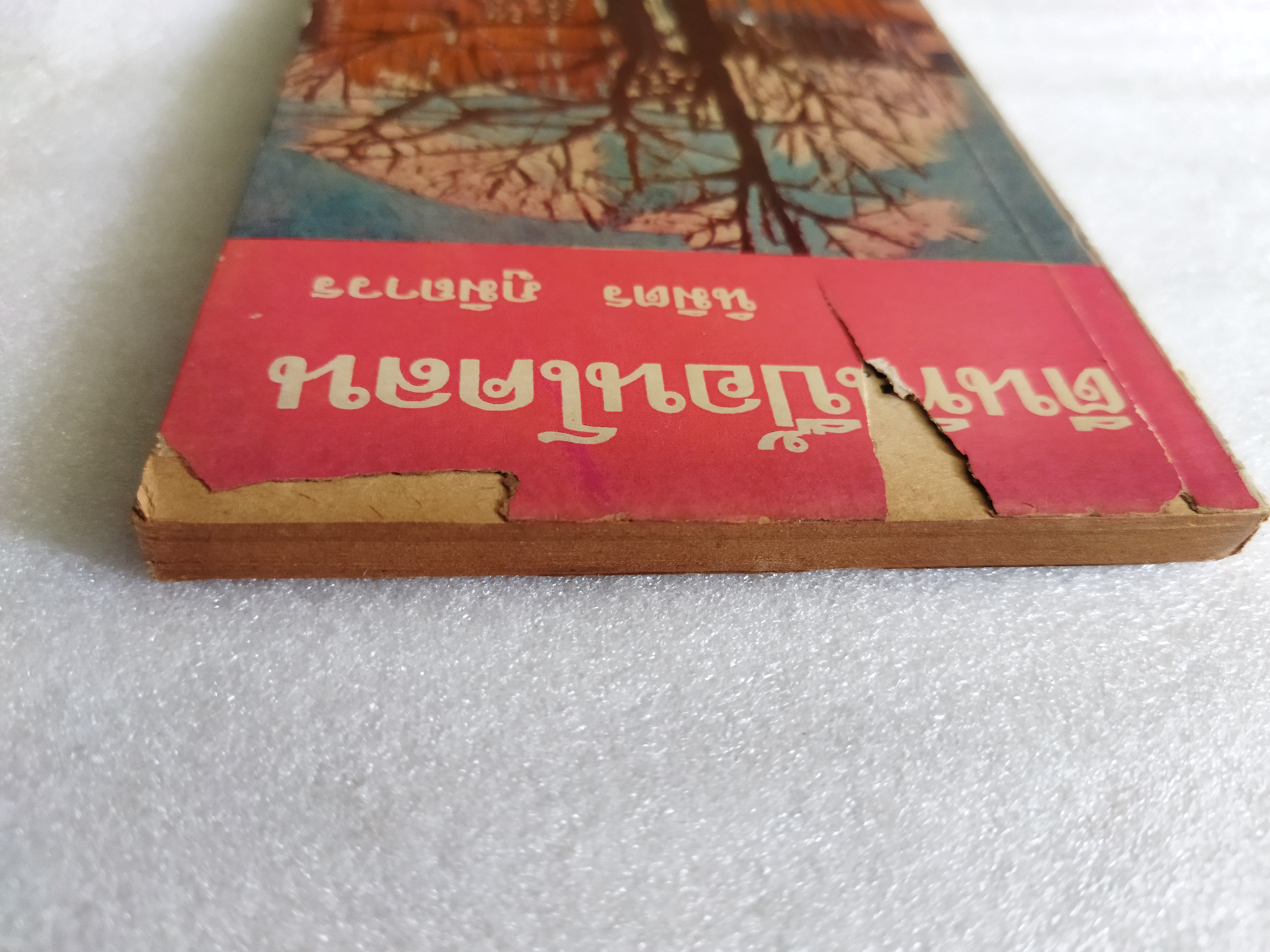 ตีนที่เปื้อนโคลน / นิมิตร ภูมิถาวร *ตำหนิ