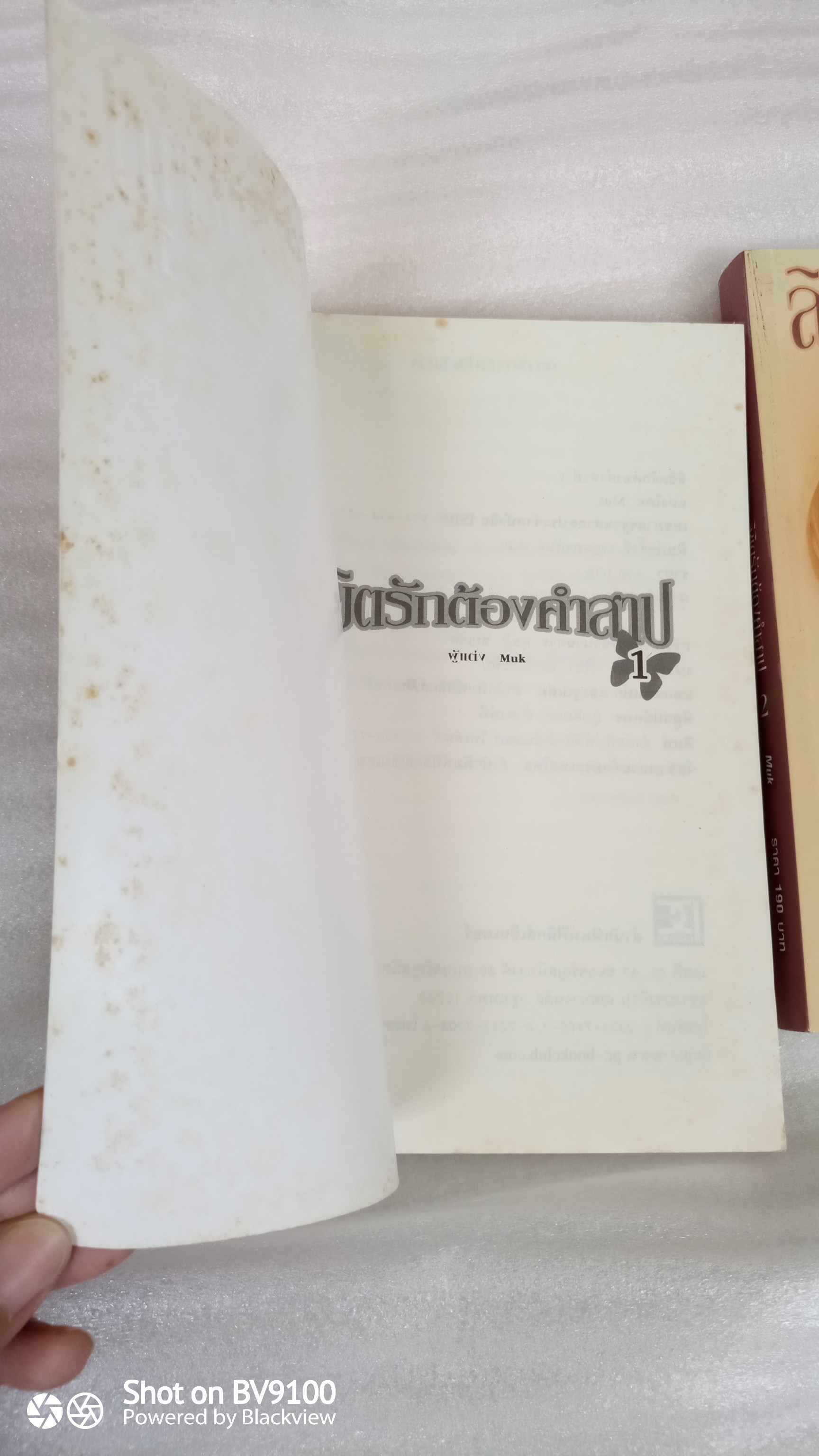 หนังสือ ลิขิตรักต้องคำสาป 2 เล่มจบสมบูรณ์