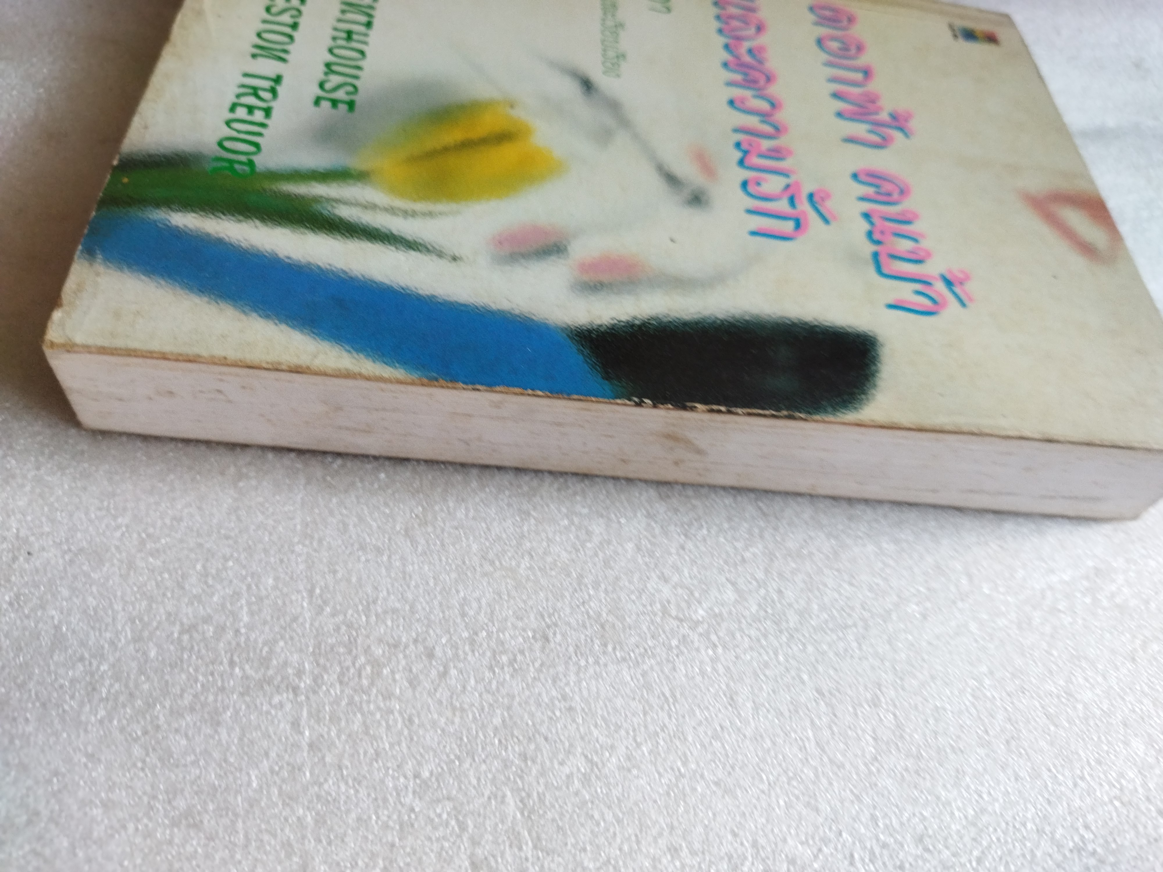 ดอกฟ้า คนบ้า และความรัก The Penthouses / Elleston Trevor