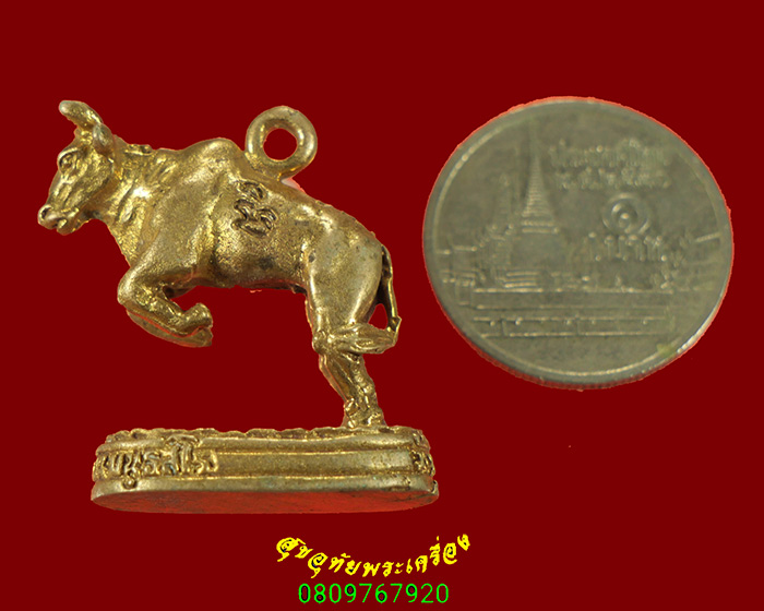 373.วัวธนู หลวงพ่อเขียน วัดกระทิง จ.จันทบุรี ปี2549 เข้มขลัง สวยสมบูรณ์เดิมครับ***3