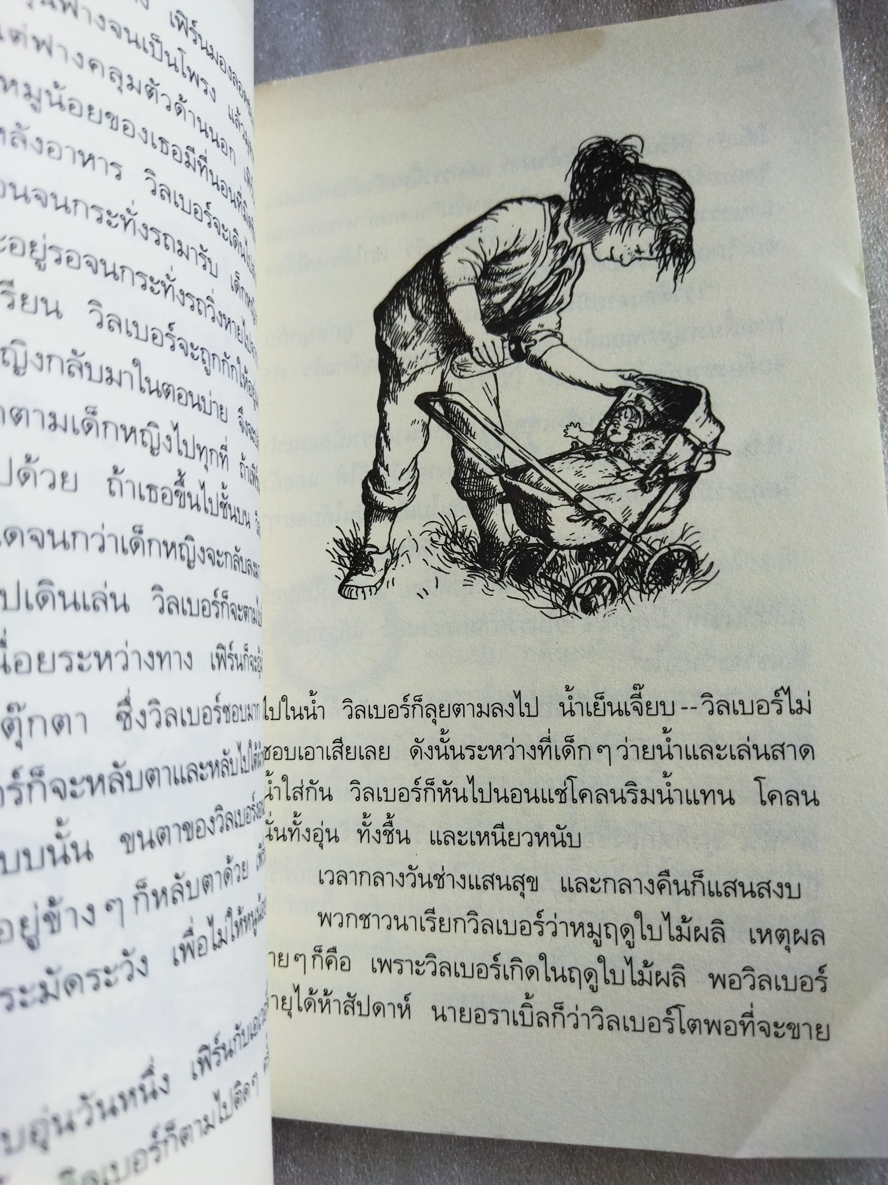 ชาร์ล็อตต์ แมงมุมเพื่อนรัก (Charlotte's Web) / อี.บี. ไวท์