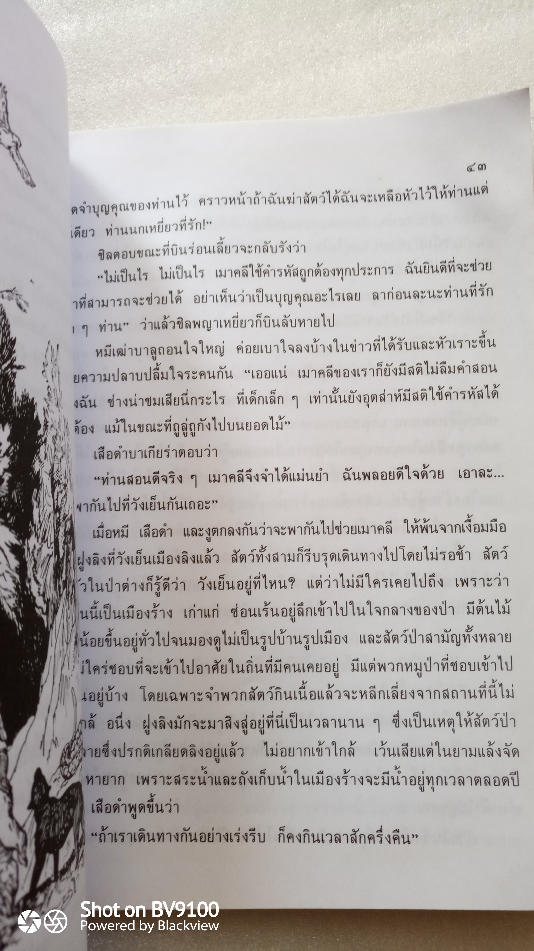 เมาคลี ลูกหมาป่า