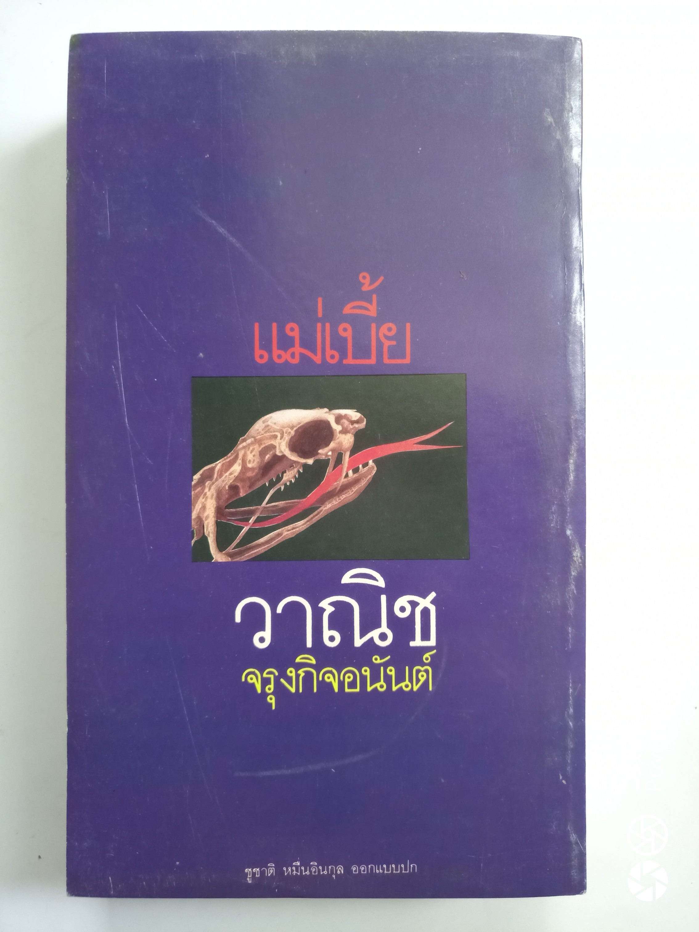 แม่เบี้ย