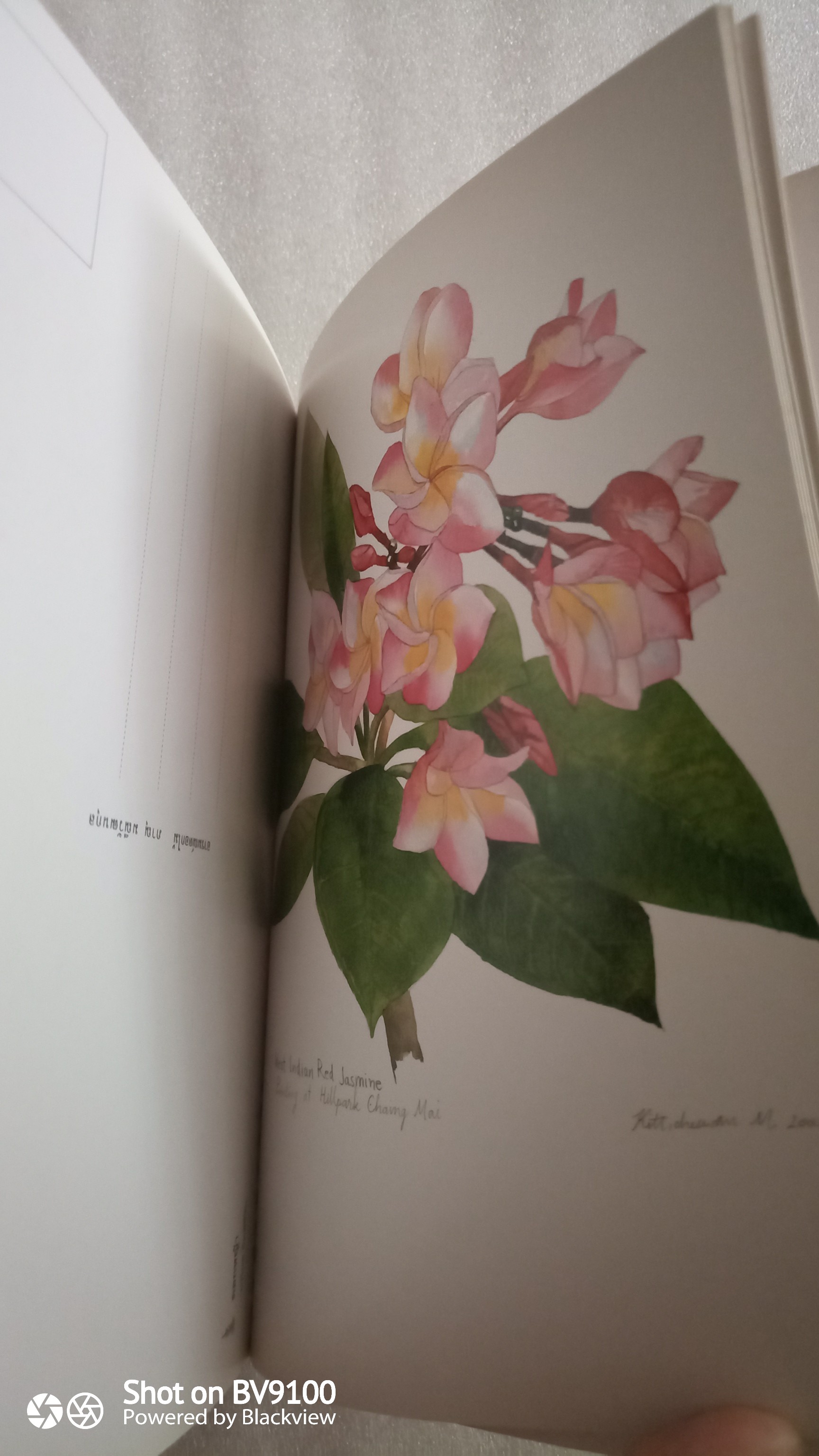 อารมณ์ดอกไม้ / ภาณุ มณีวัฒนกุล