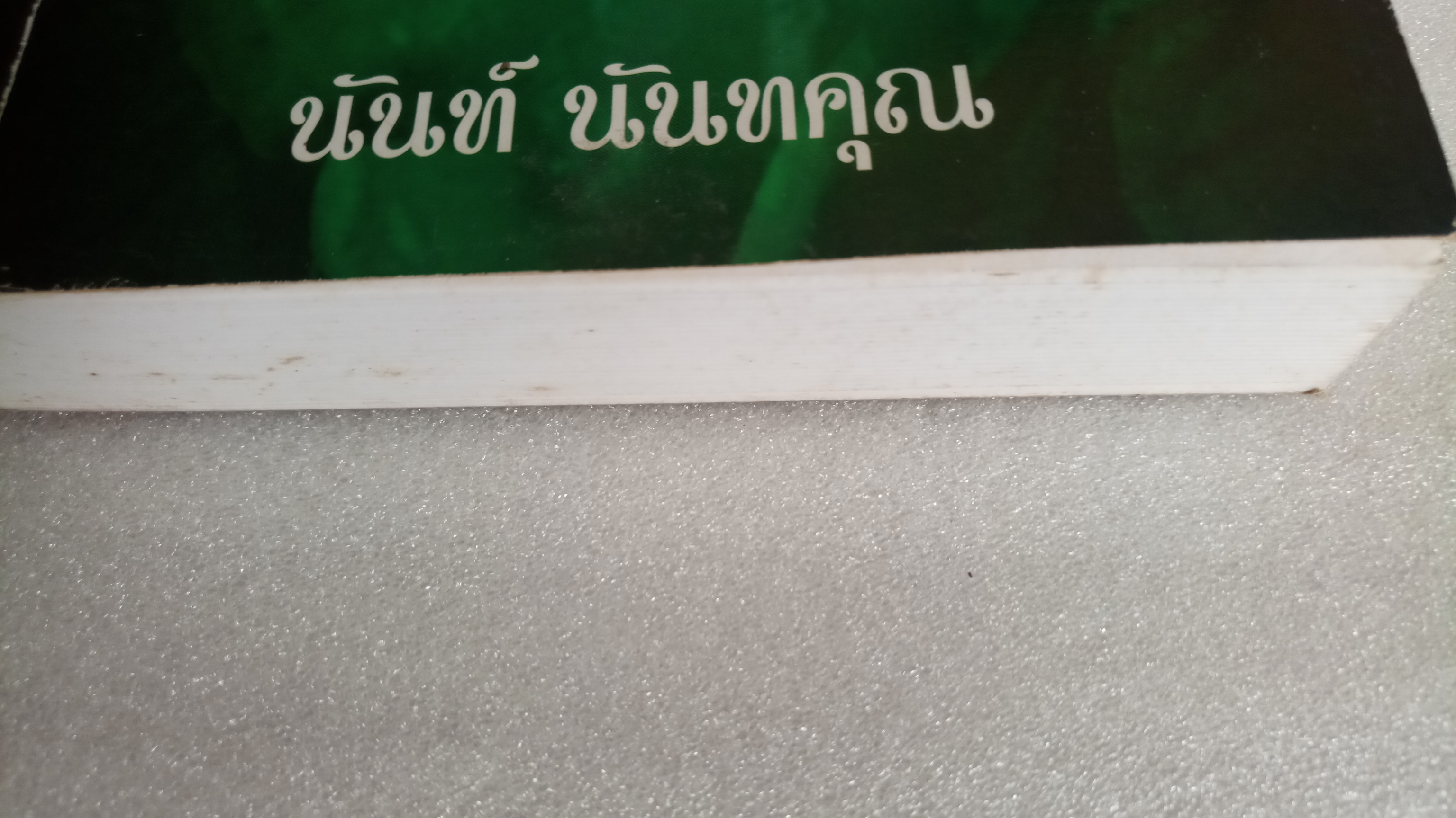 มนุษย์ต้นไม้ / นันท์ นันทคุณ