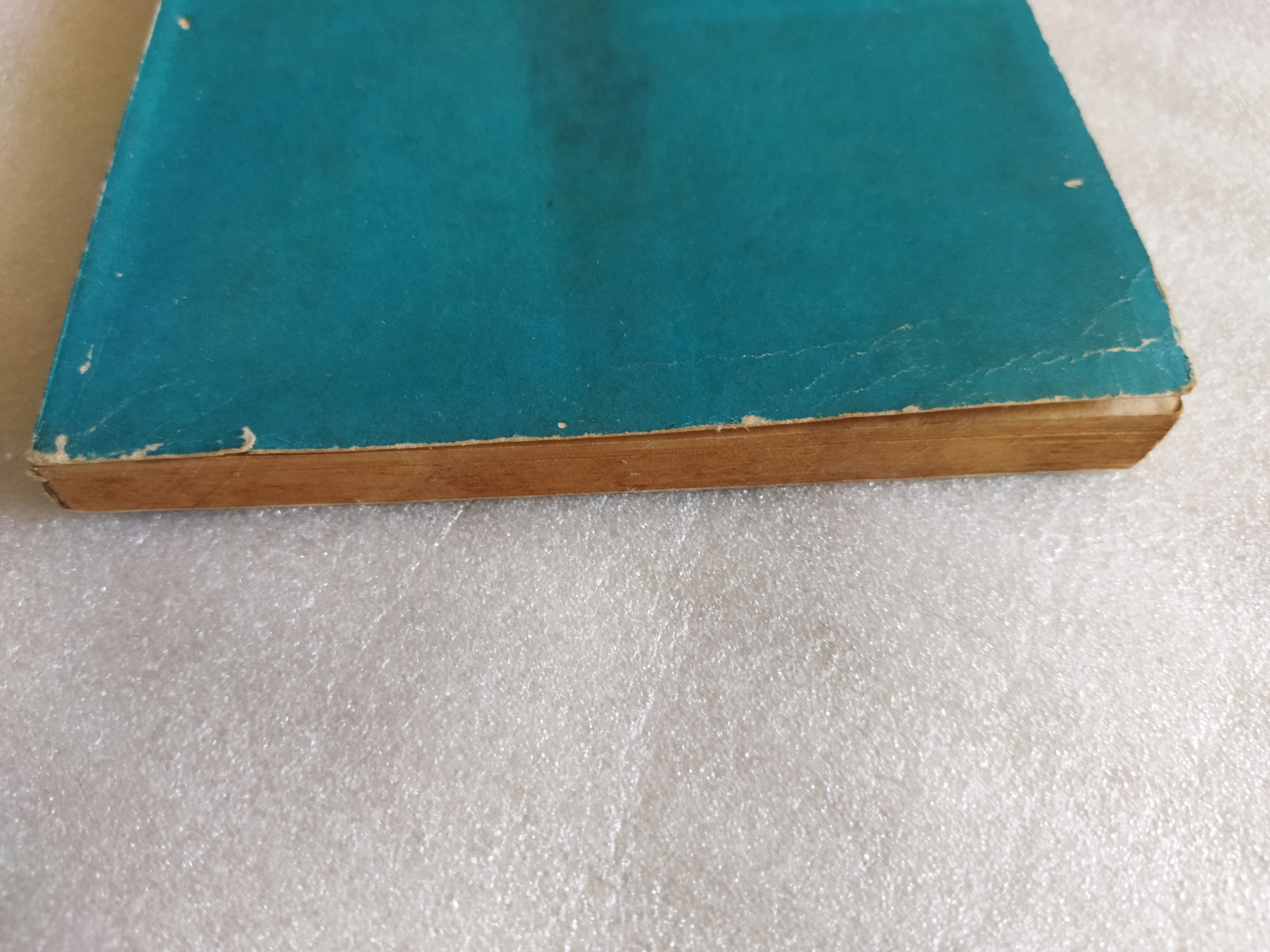 เจ้าสีรุ้ง / จันโกปาล มูเกอจี