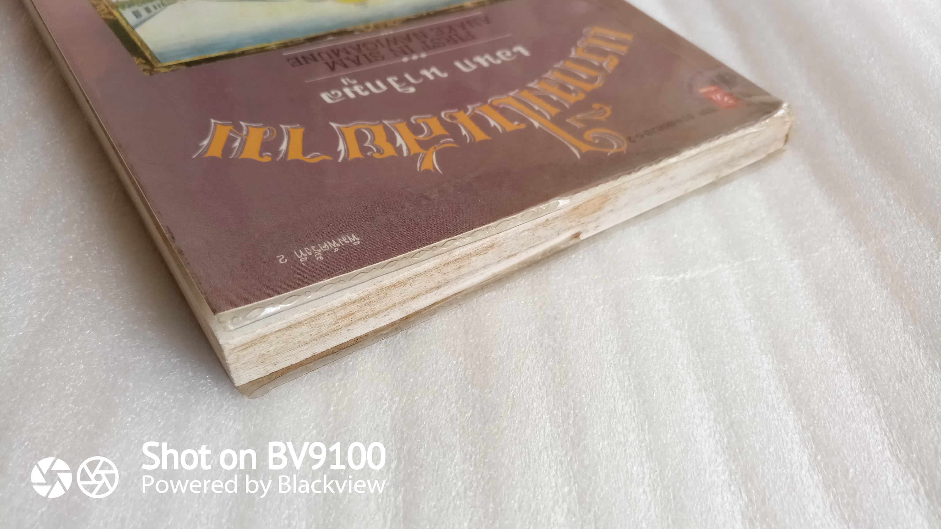 แรกมีในสยาม / อเนก นาวิกมูล