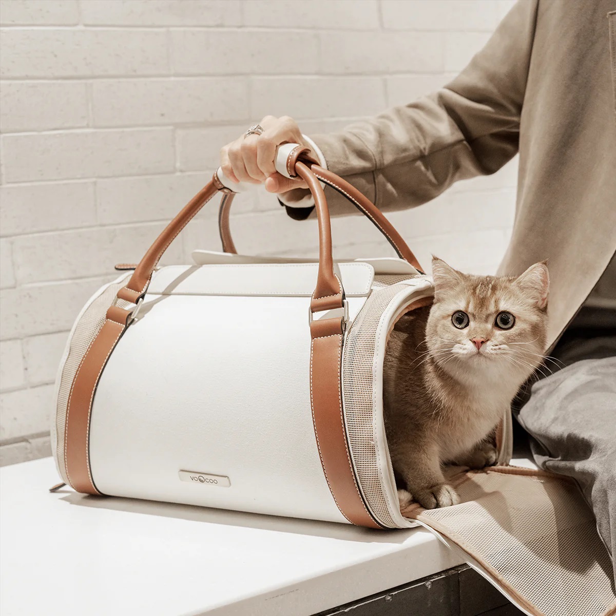 กระเป๋าถือสัตว์เลี้ยง VOOCOO Fynn Pet Travel Bag - Hand Carry