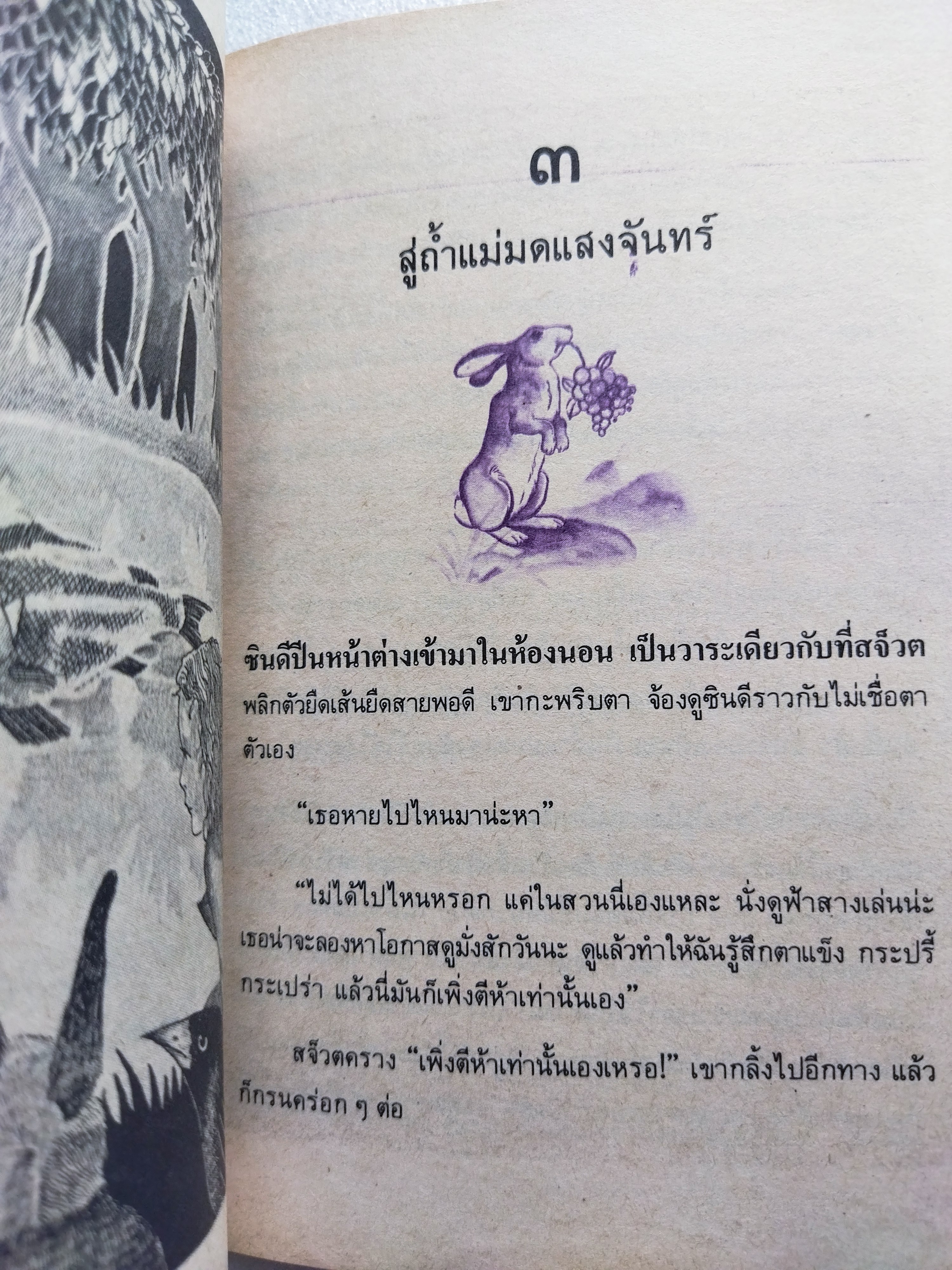 แม่มดแสงจันทร์