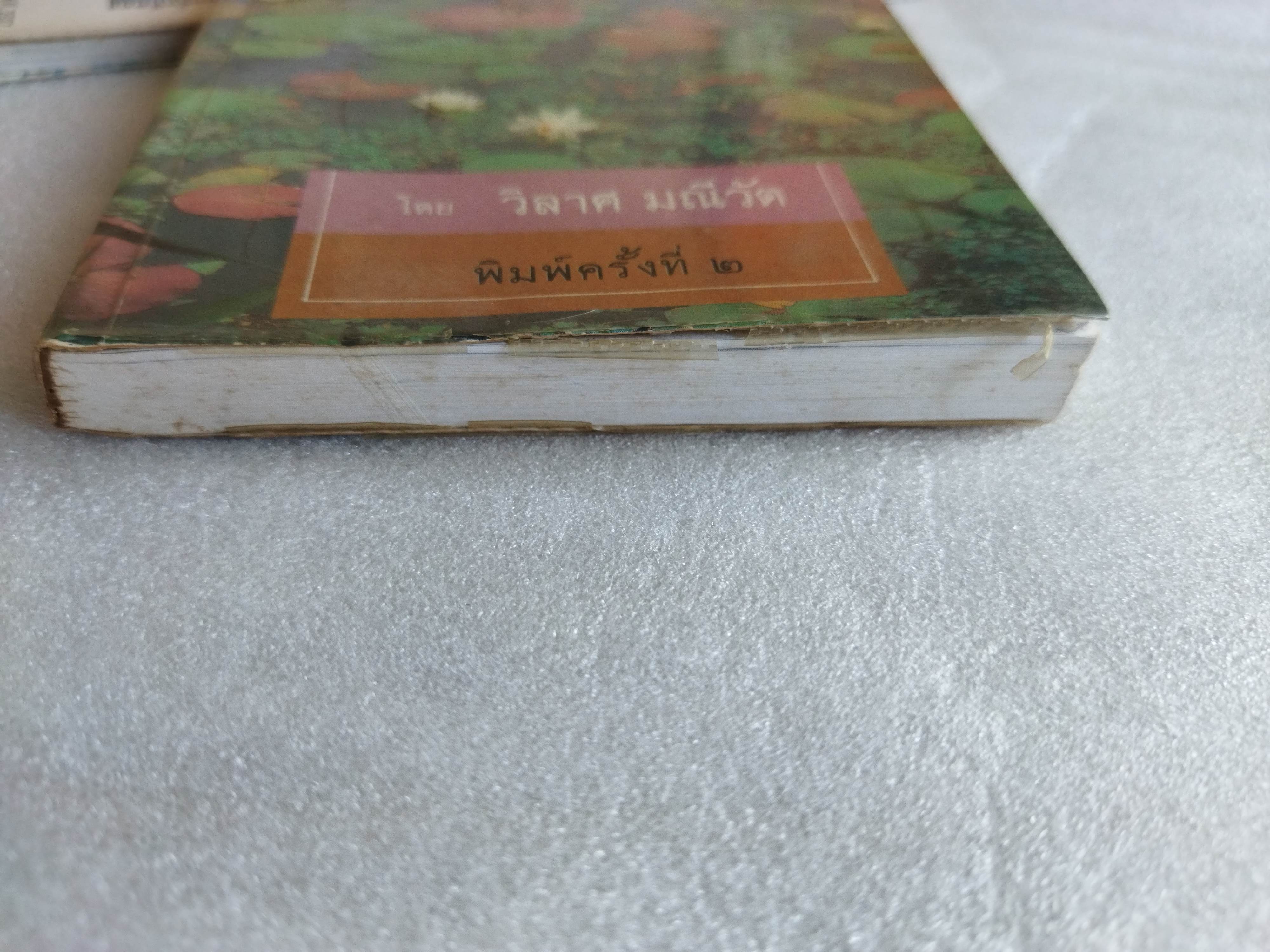 ธรรมะสำหรับคนนอกวัด / วิลาศ มณีวัต