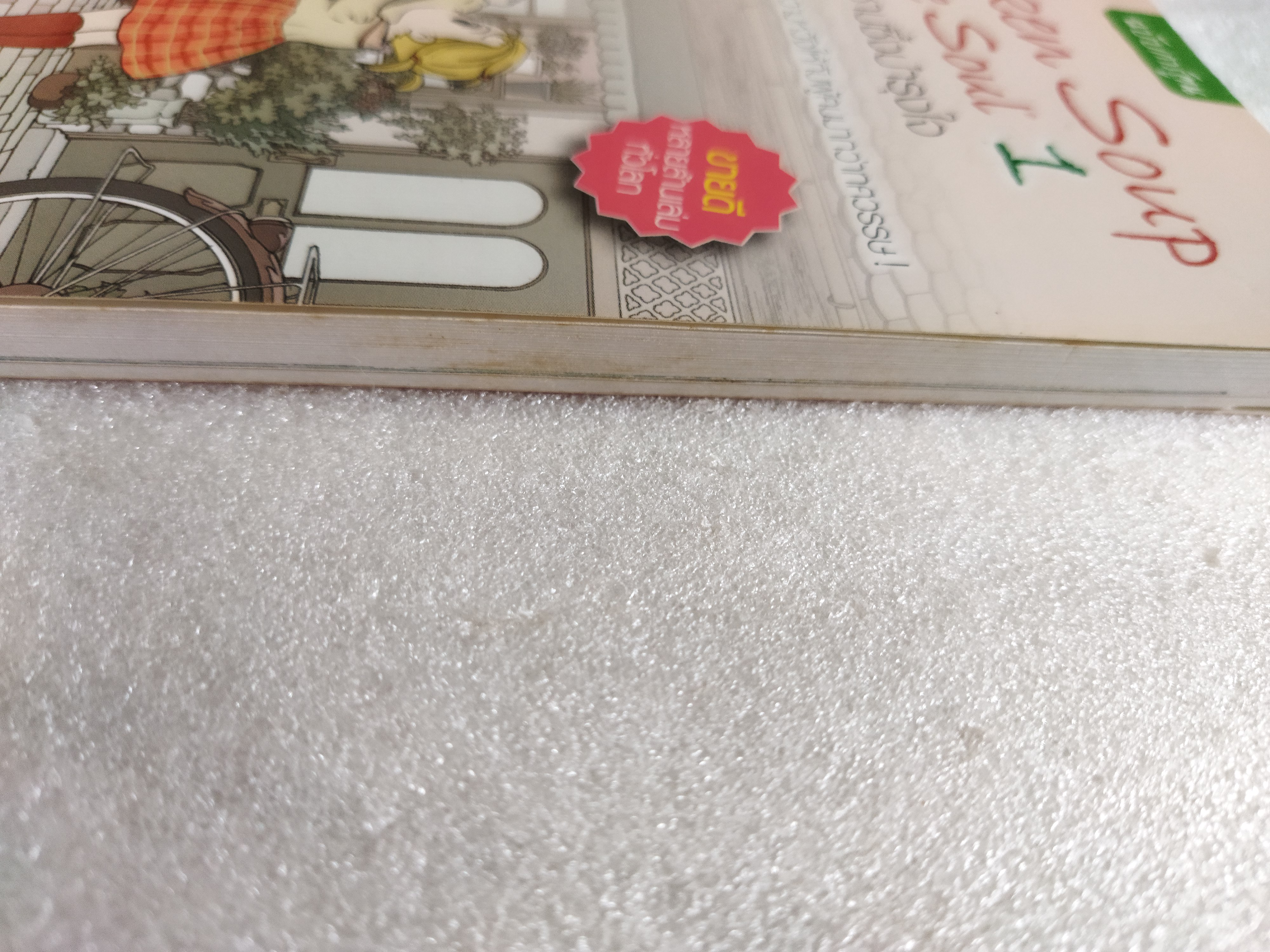 Chicken Soup for the Soul 1 เรื่องเล่าซาบซึ้งบำรุงใจ (ฉบับการ์ตูน)