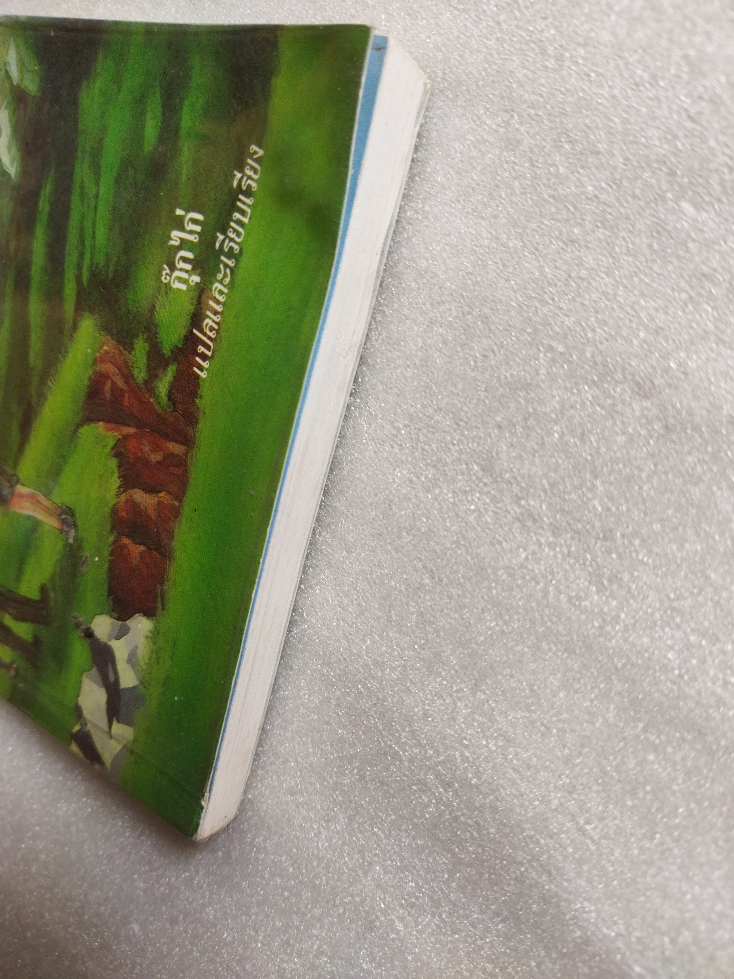 ภูเขาปริศนา