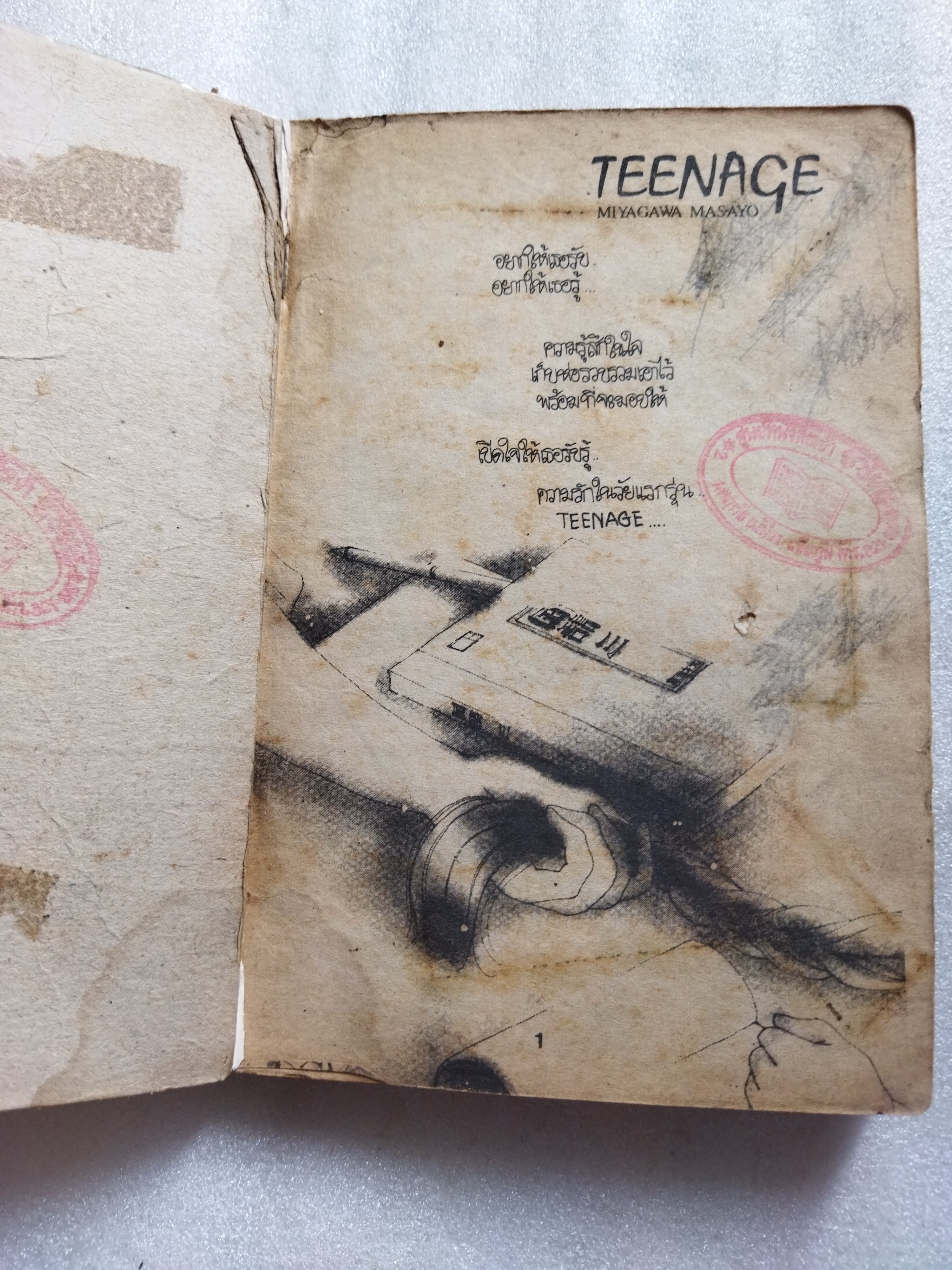 Teenage ทีนเอจ / เล่มเดียวจบ