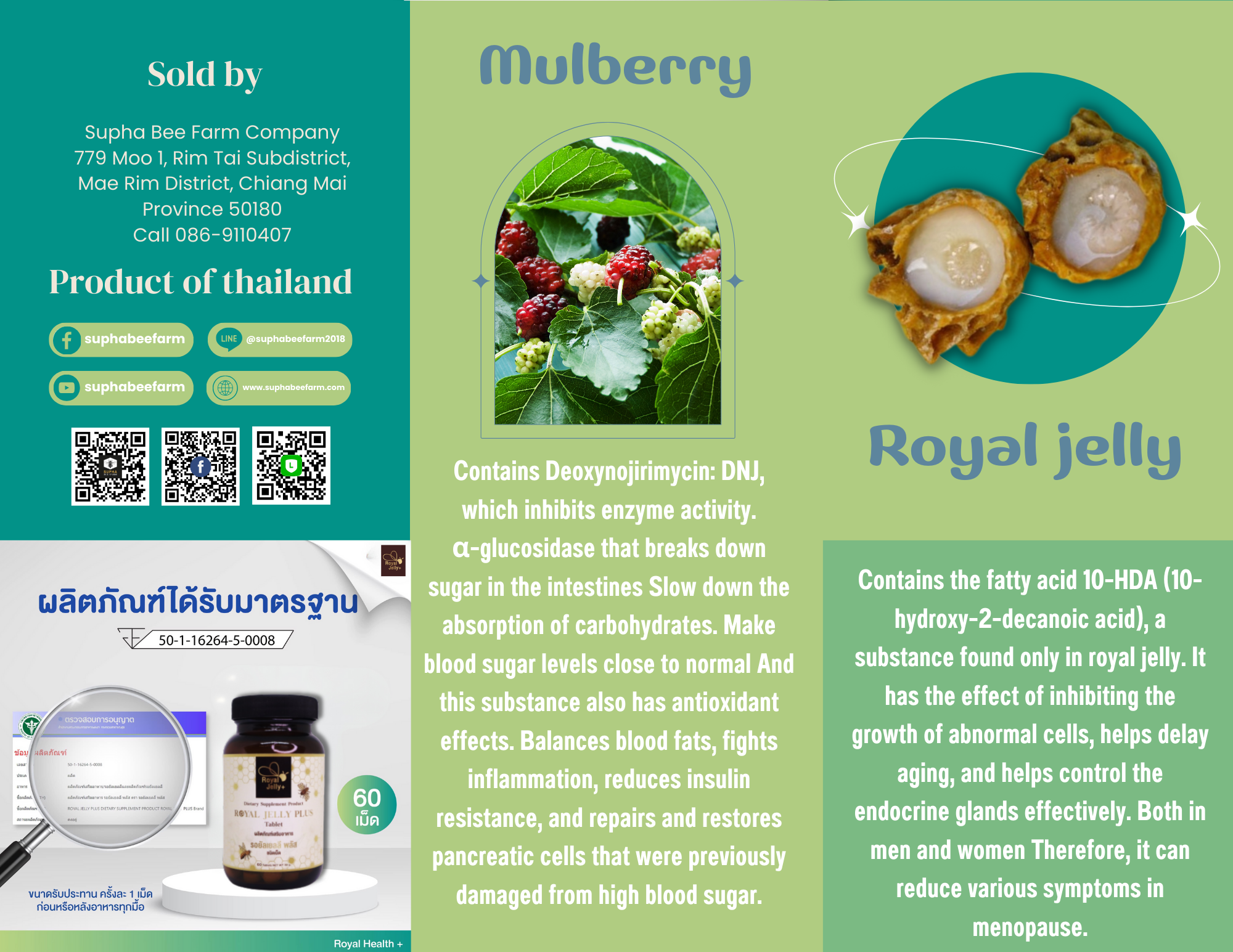 [Buy 1 get 1 Free] ROYAL JELLY Plus Mulberry leaf (1 แถม 1 )