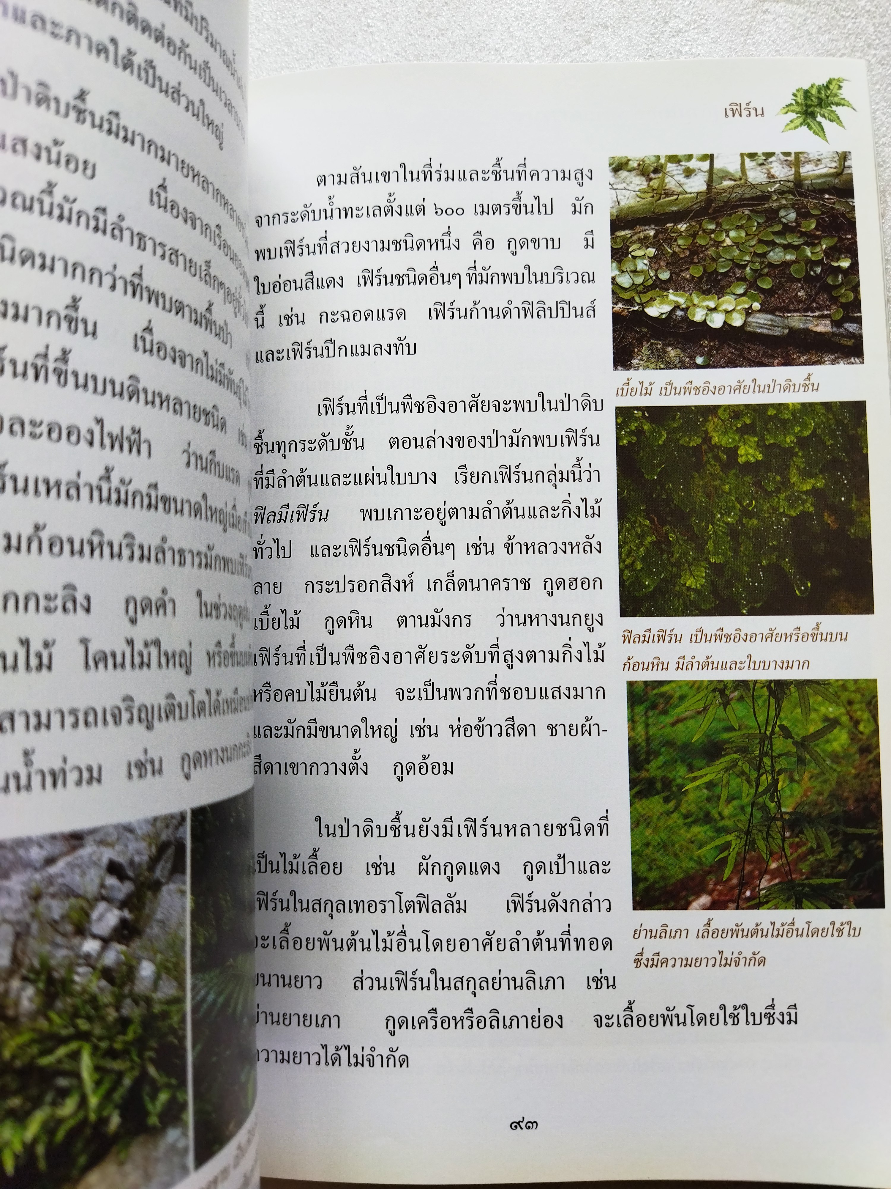 สารานุกรมไทย สำหรับเยาวชน เล่มที่ ๑๓