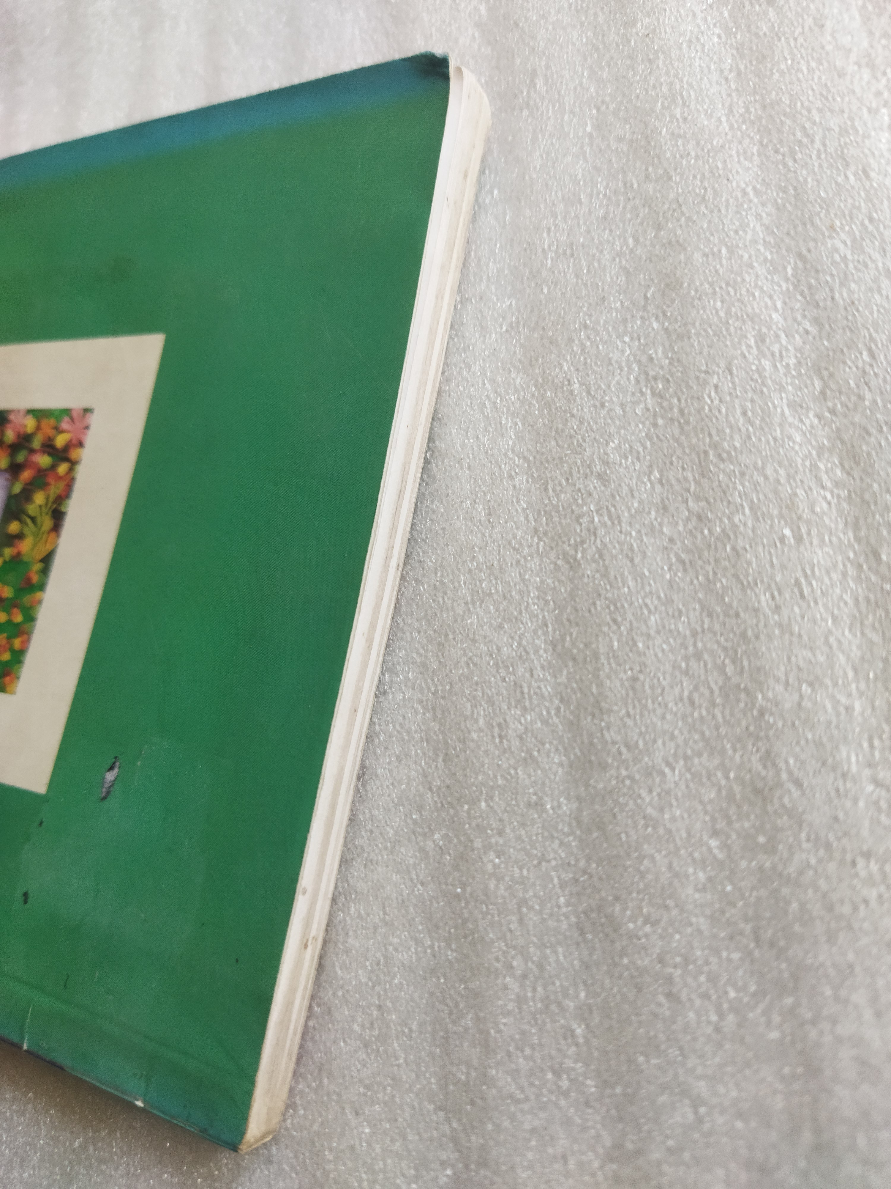 ทุ่งโล่งดงใหญ่ / โชติ ศรีสุวรรณ