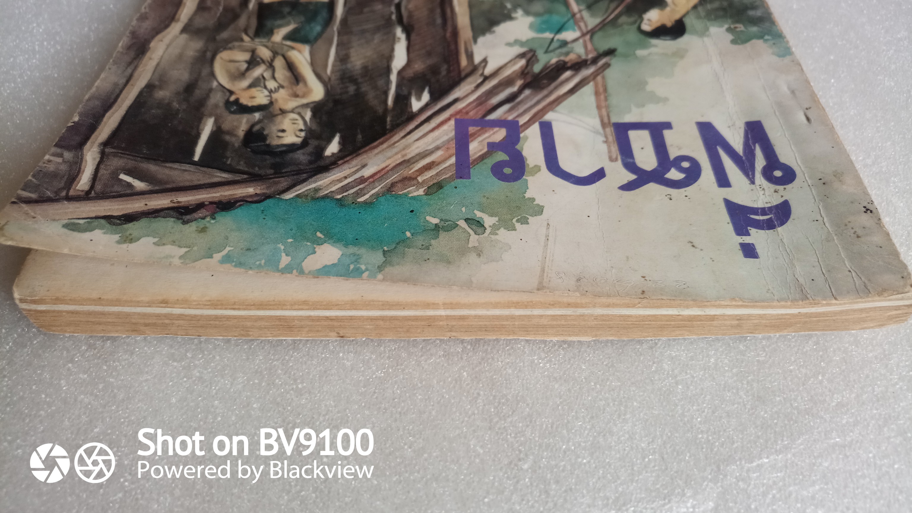 พี่ชาย / นงไฉน ปริญญาธวัช (กาญจนา นาคนันท์)