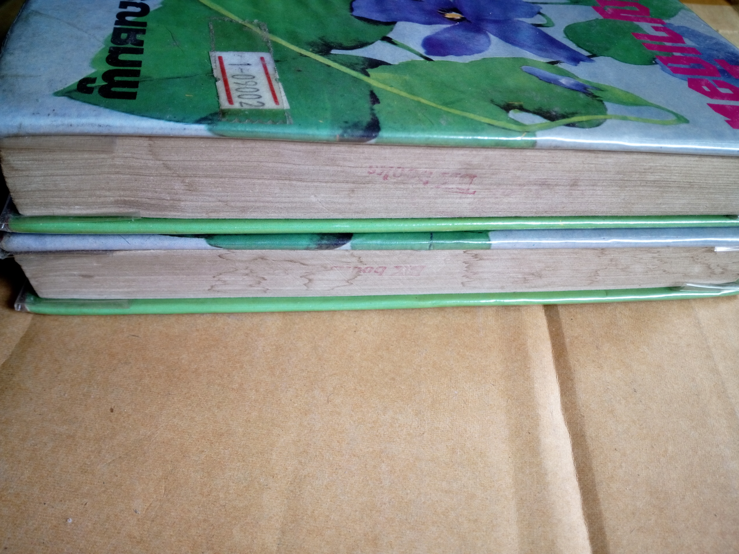 สัญญาเถื่อน *ตำหนิ