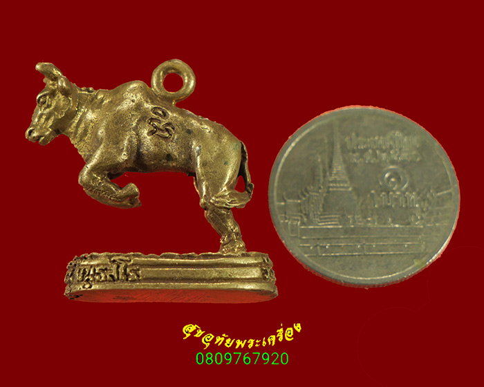 371.วัวธนู หลวงพ่อเขียน วัดกระทิง จ.จันทบุรี ปี2549 เข้มขลัง สวยสมบูรณ์เดิมครับ***1