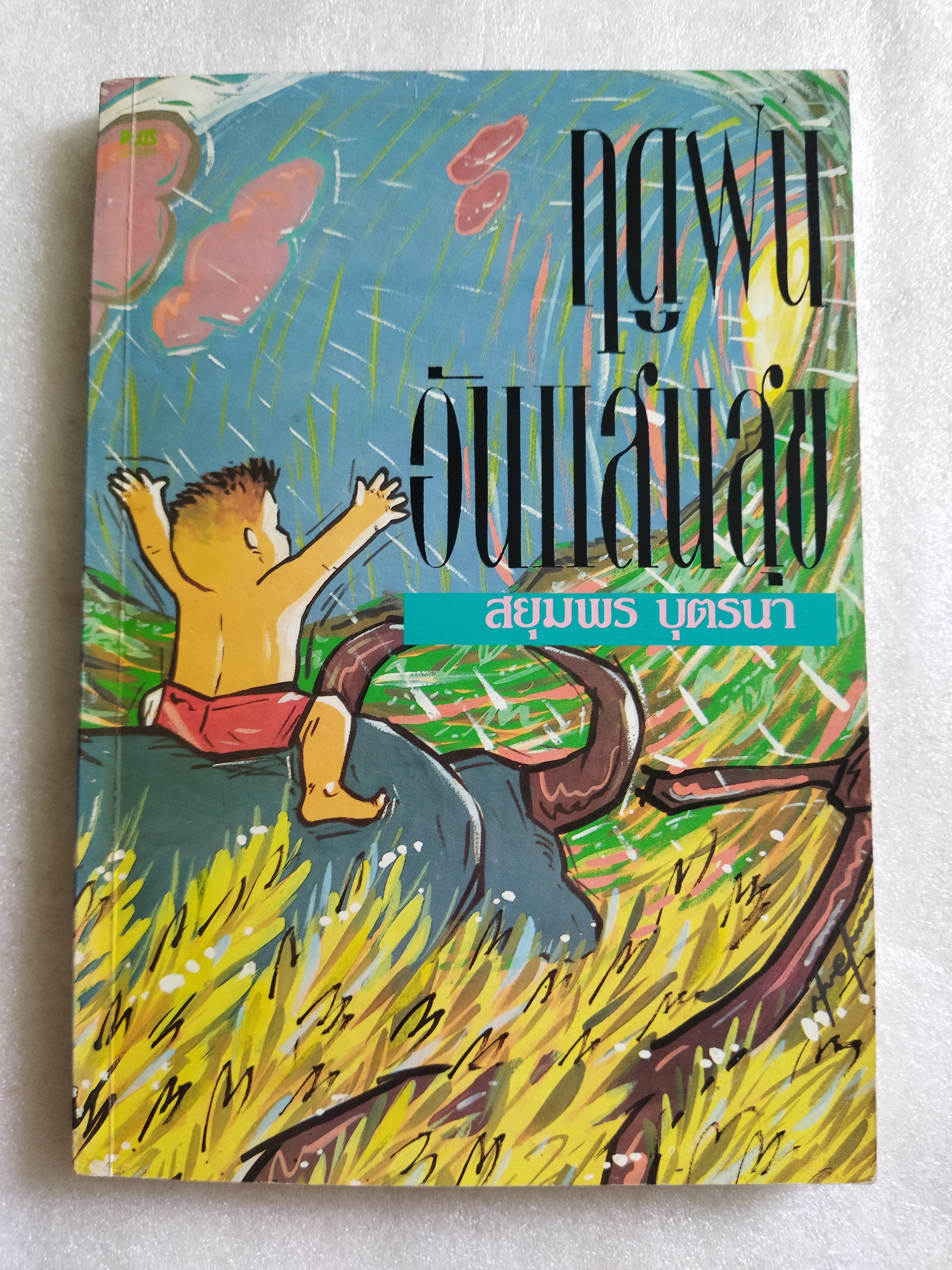 ฤดูฝนอันแสนสุข / สยุมพร บุตรนา