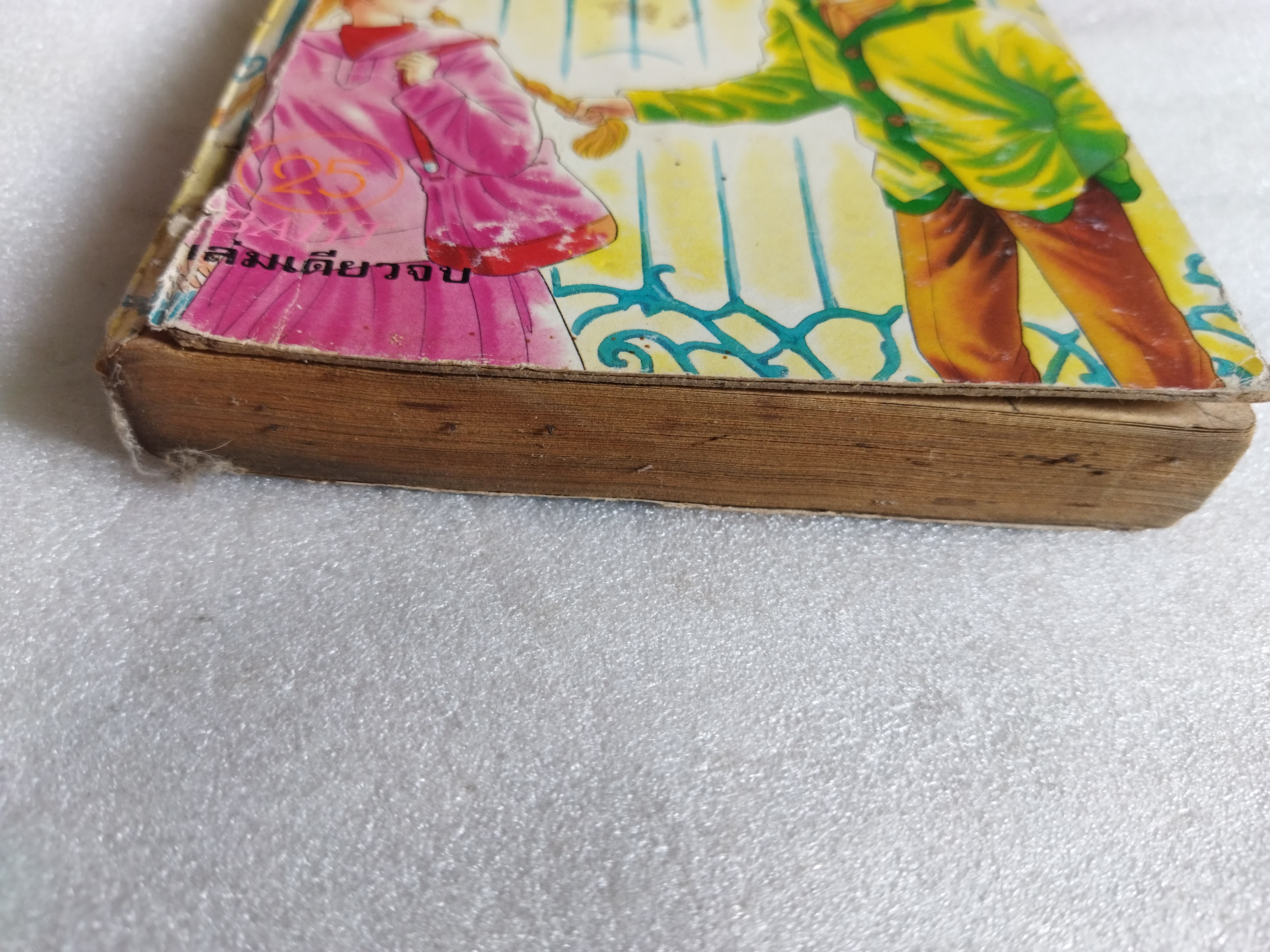 Teenage ทีนเอจ / เล่มเดียวจบ