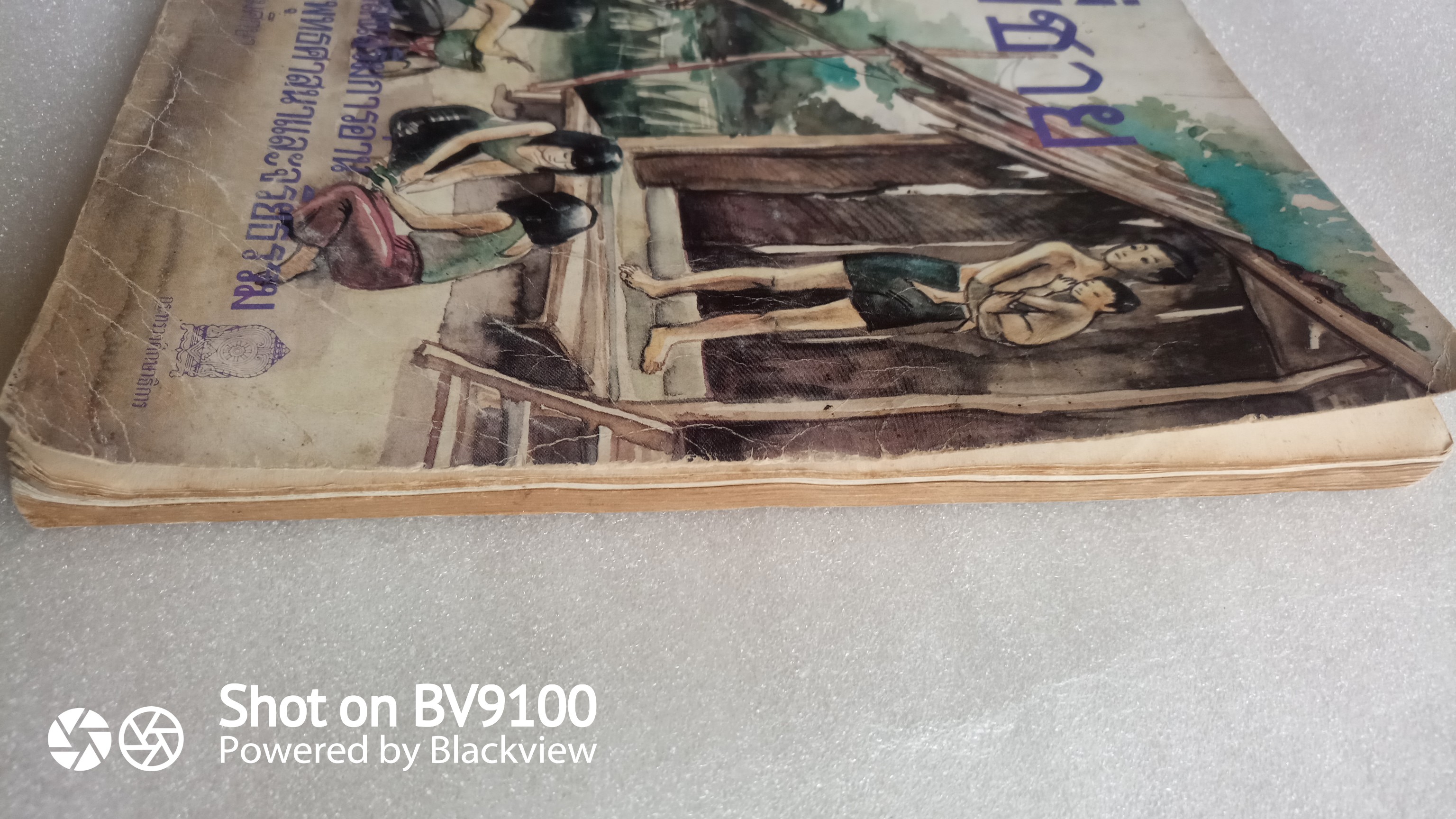 พี่ชาย / นงไฉน ปริญญาธวัช (กาญจนา นาคนันท์)