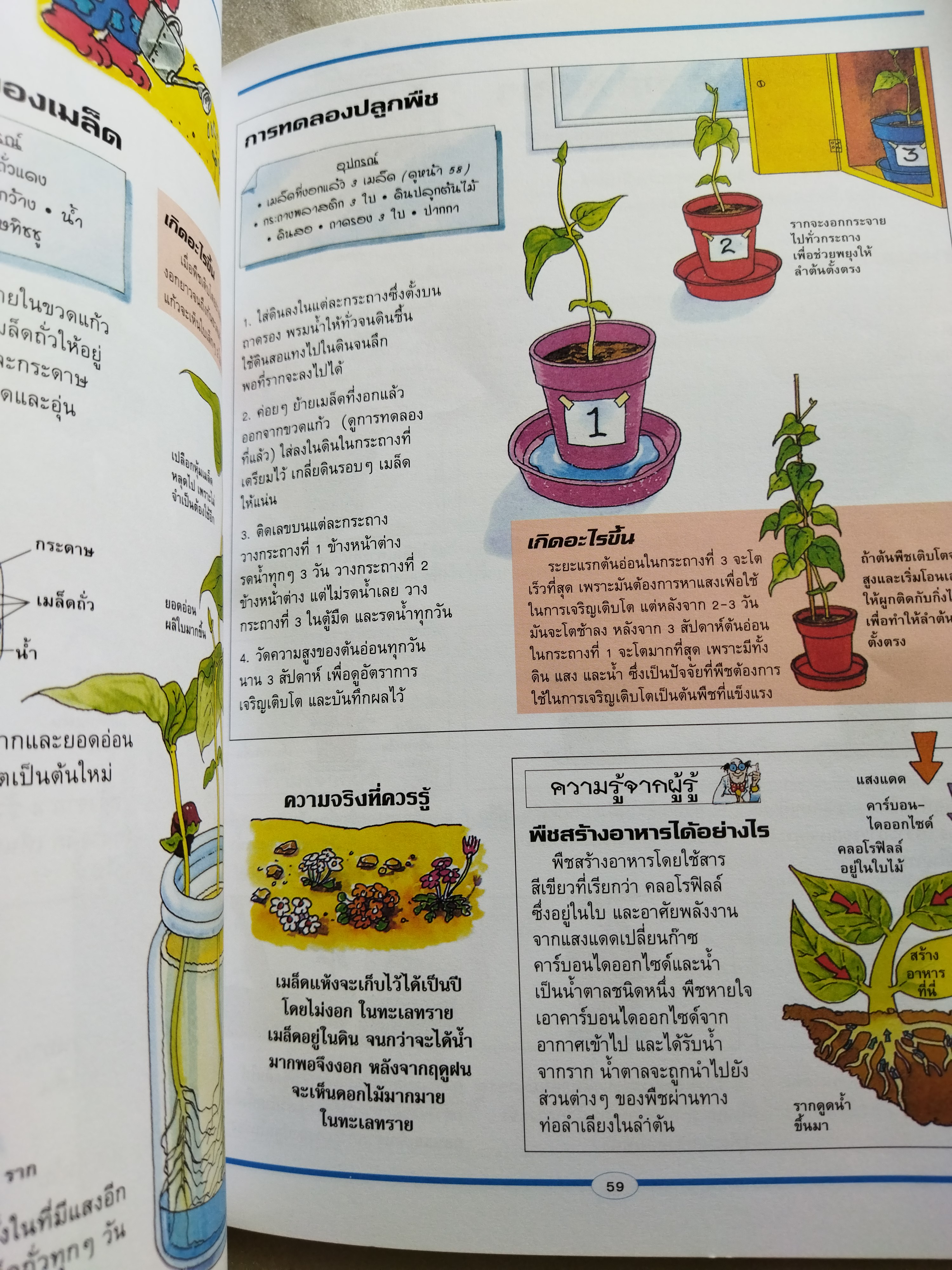 สนุกสุดท้าทายกับการทดลอง