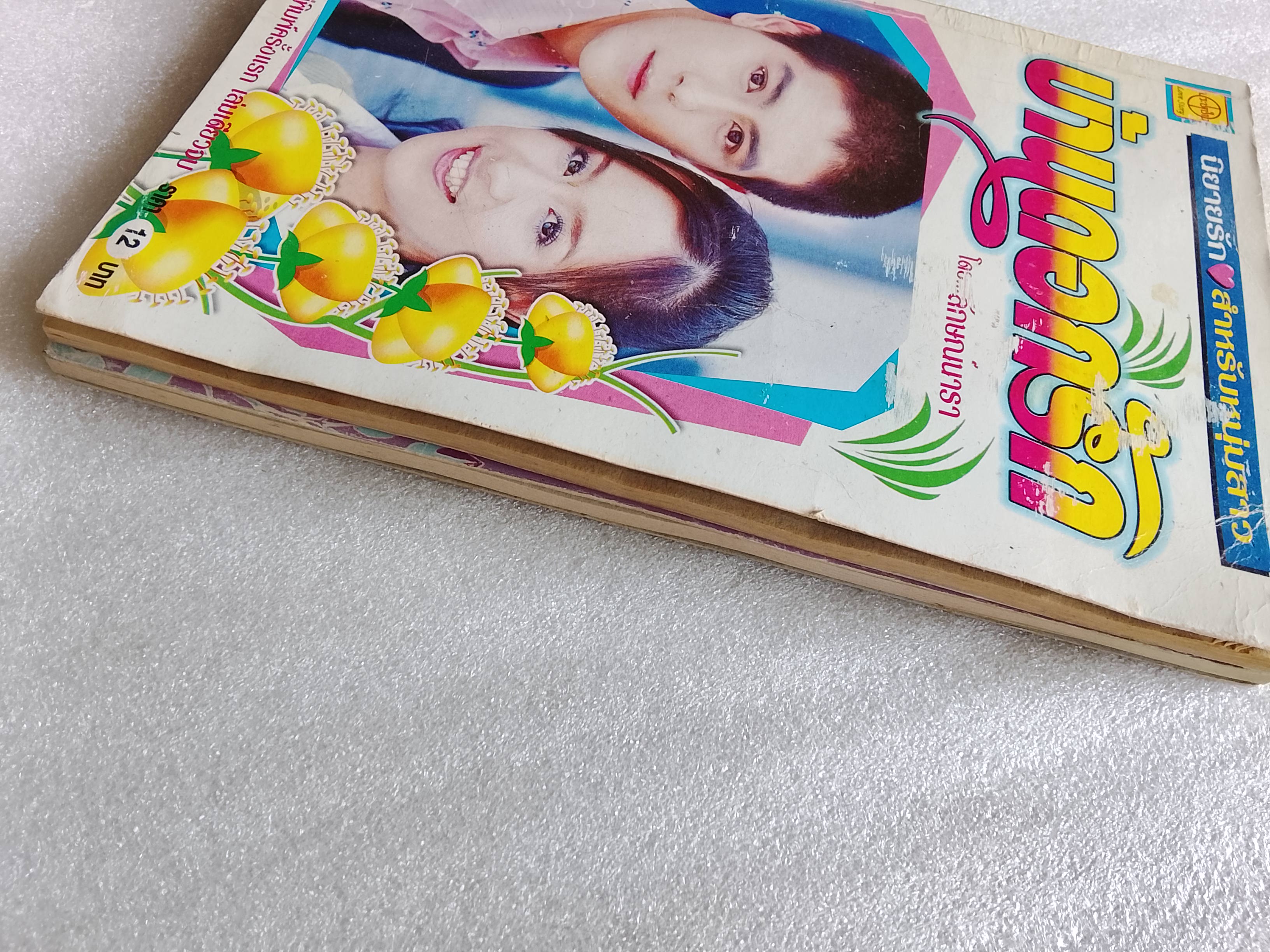 บ้านดอกรัก + รักบังใบ