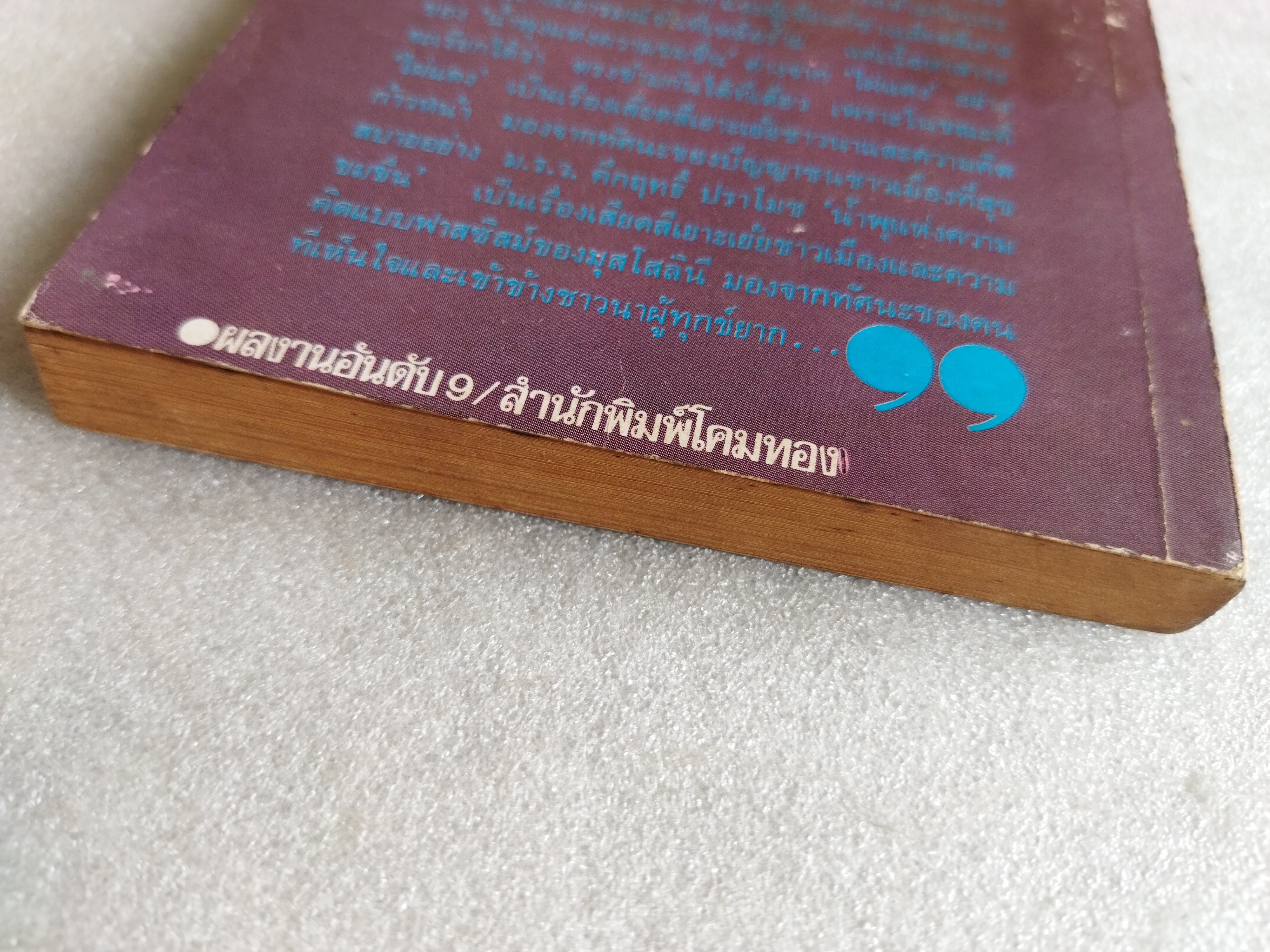 น้ำพุแห่งความขมขื่น / อิกนาซิโอ ซิโลเน่