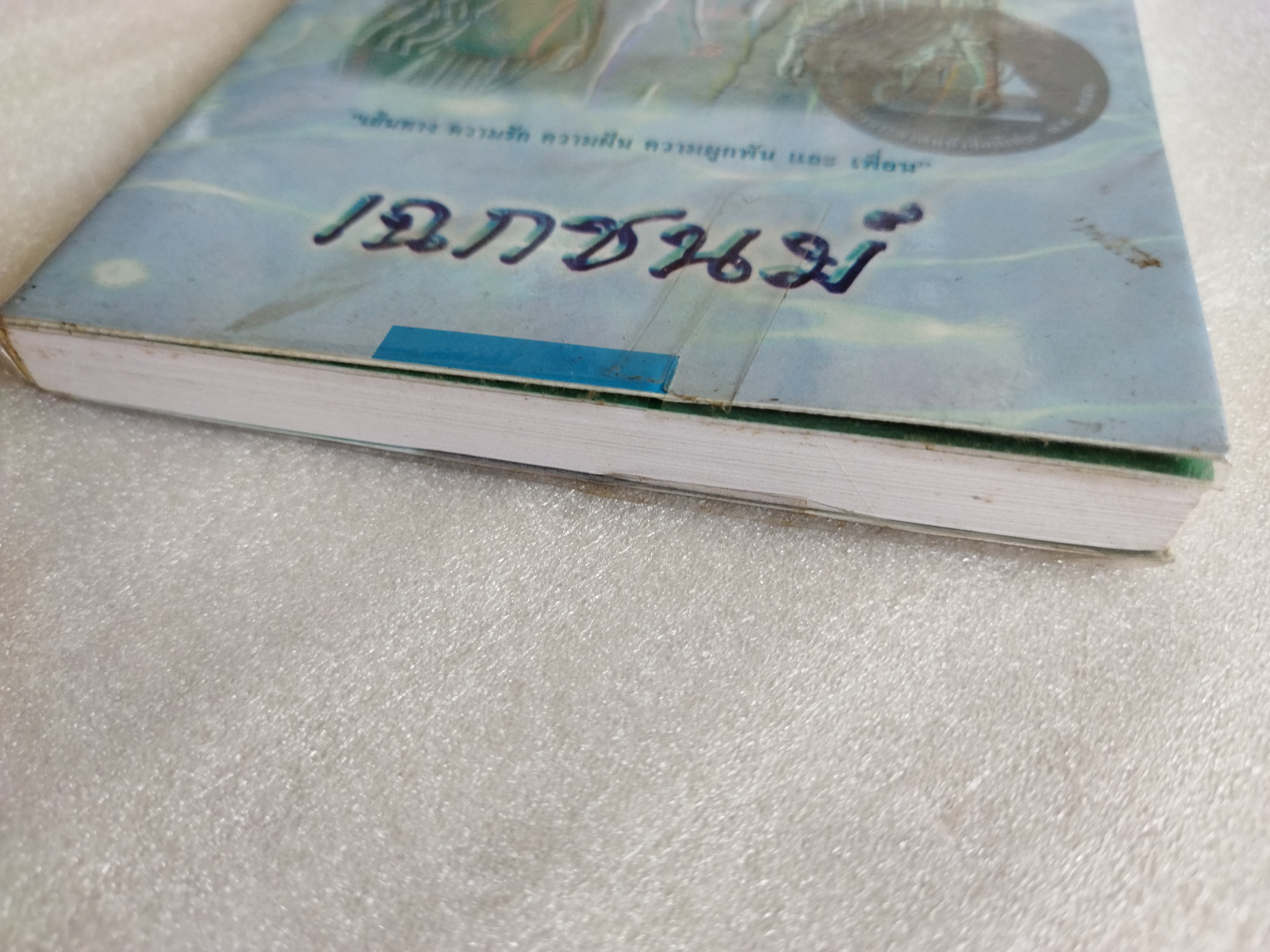 เพื่อนกันตลอดกาล / เฉกชนม์