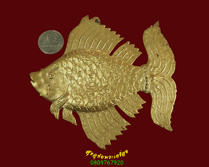 980.ปลาตะเพียนทอง วัดโพธาราม จ.สุพรรณบุรี น่าบูชาครับ