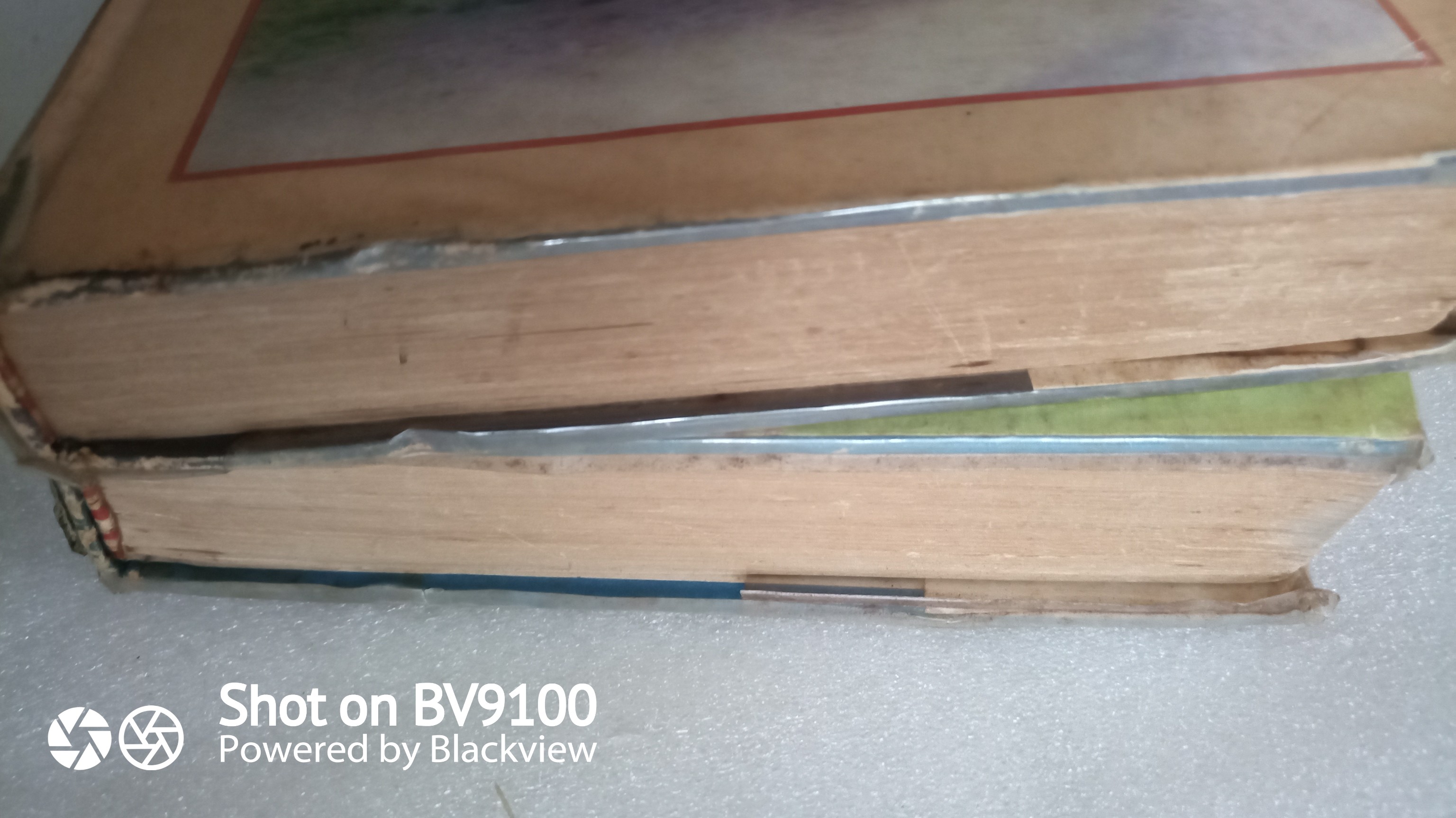 ภูติสารพัดพิษ / ตรี อภิรุม