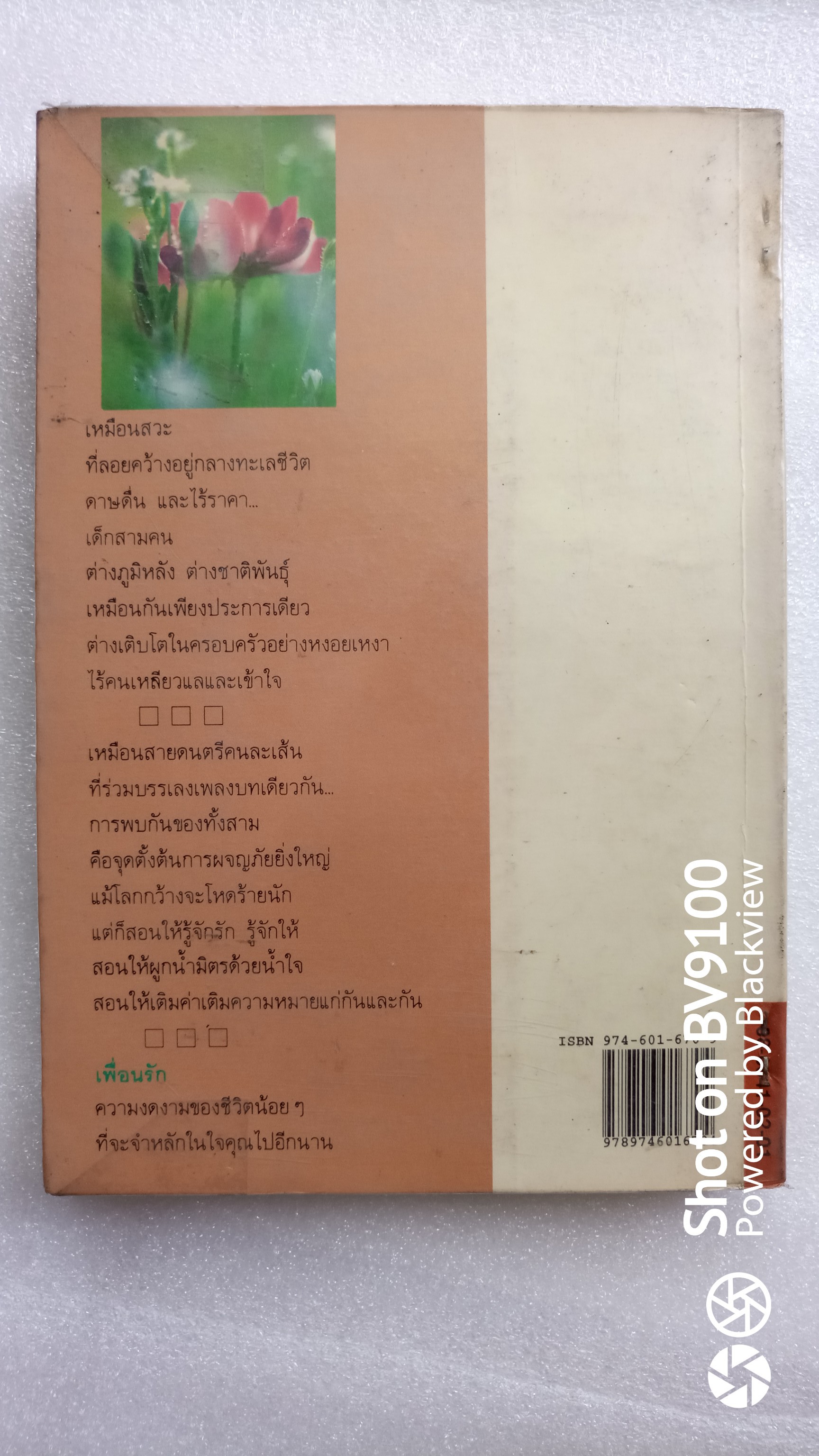 เพื่อนรัก *ตำหนิ