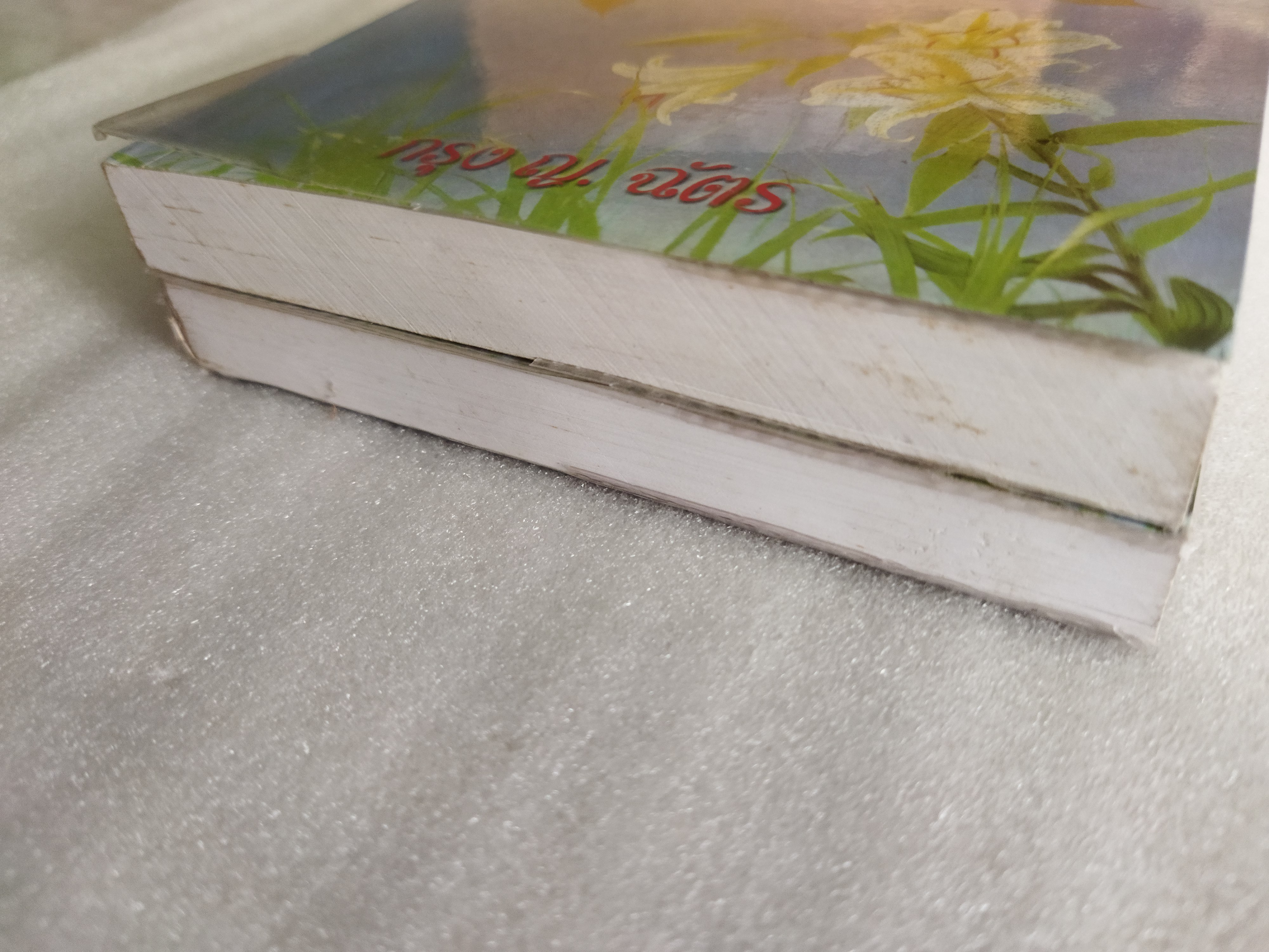 ตามมา...ด้วยความรัก / กรุง ญ.ฉัตร