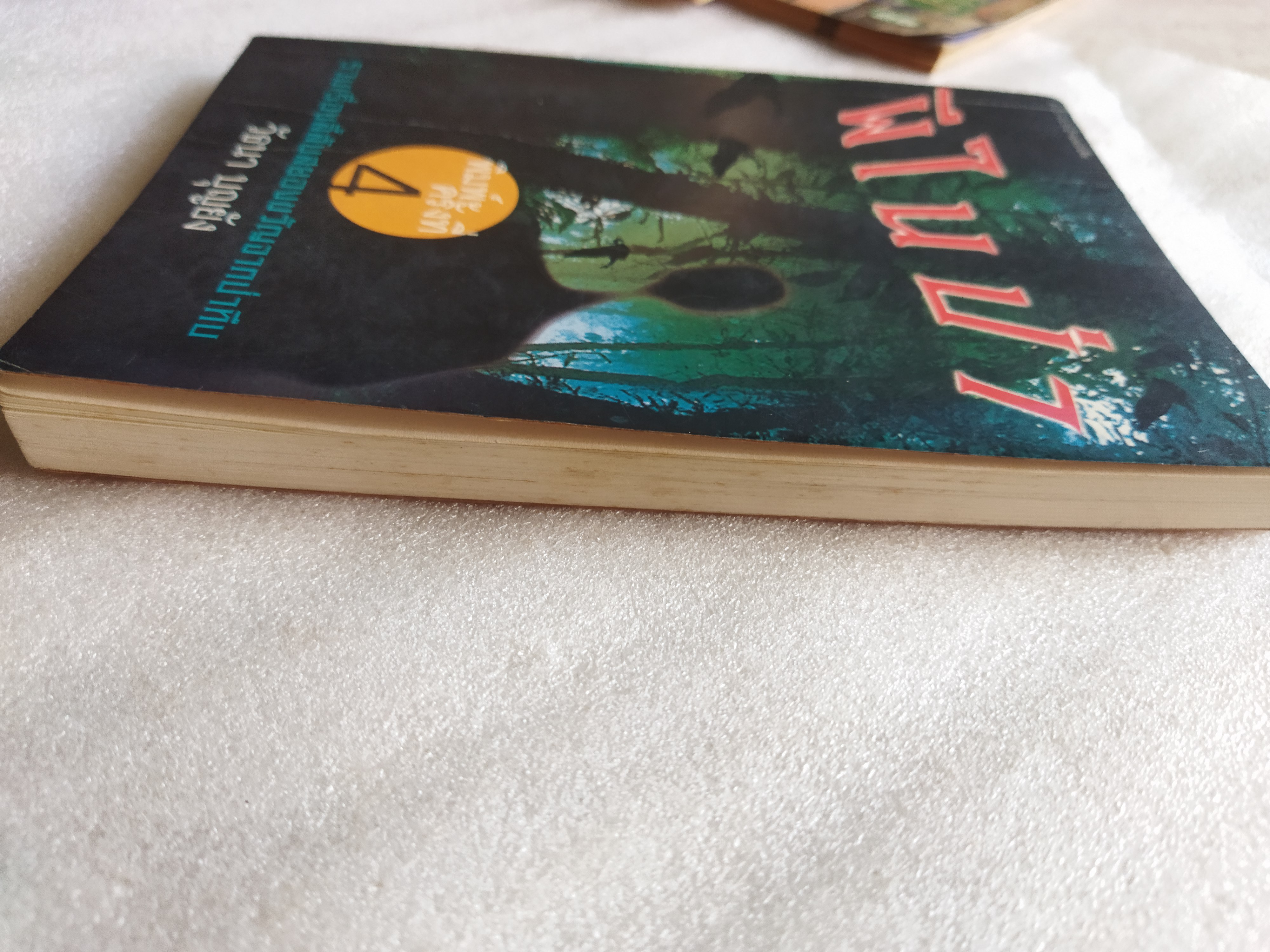 ผีในป่า / วัธนา บุญยัง