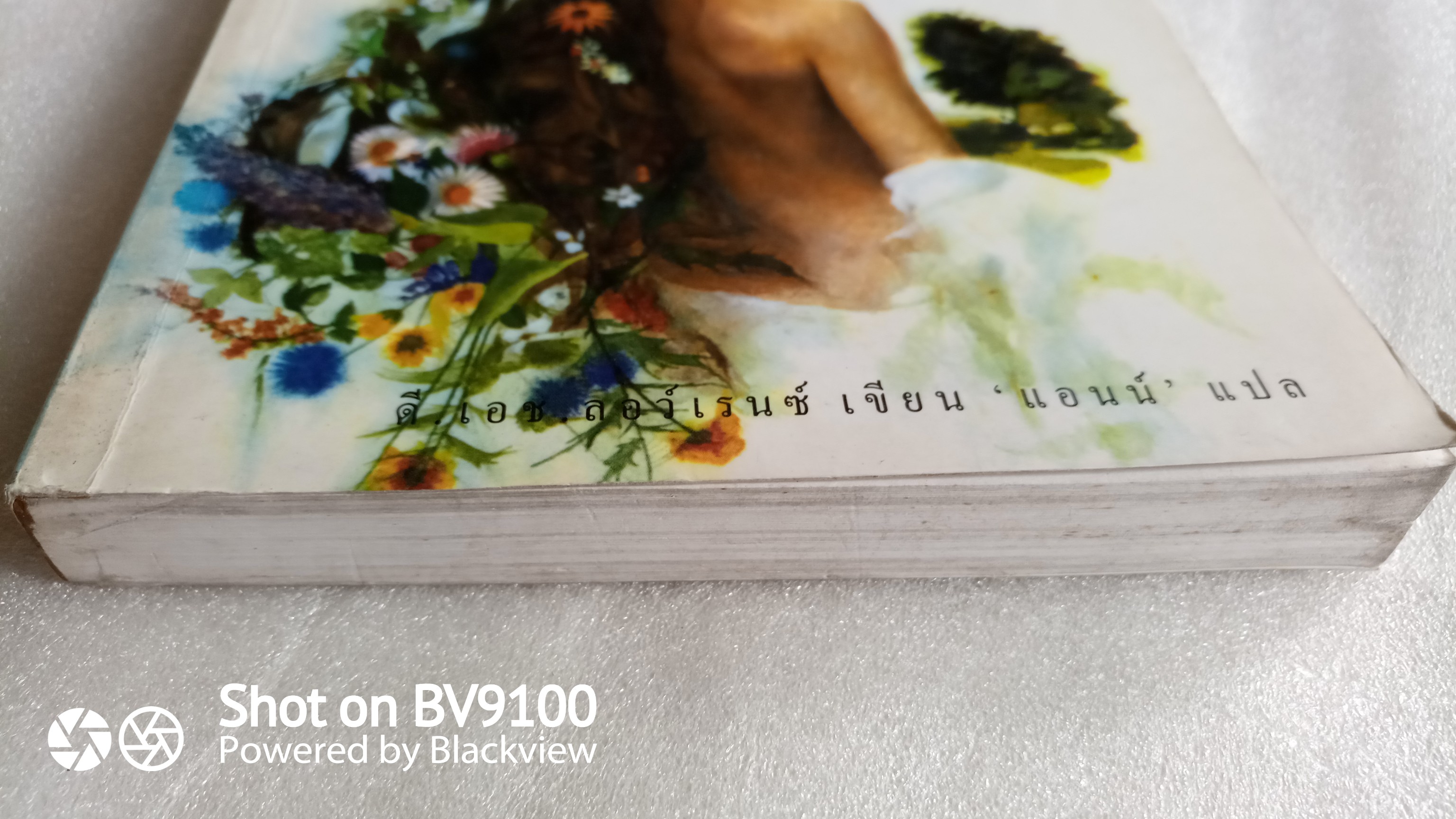 ชู้รักเลดี้แชตเตอร์เลย์ / ดี.แอช.ลอว์เรนซ์