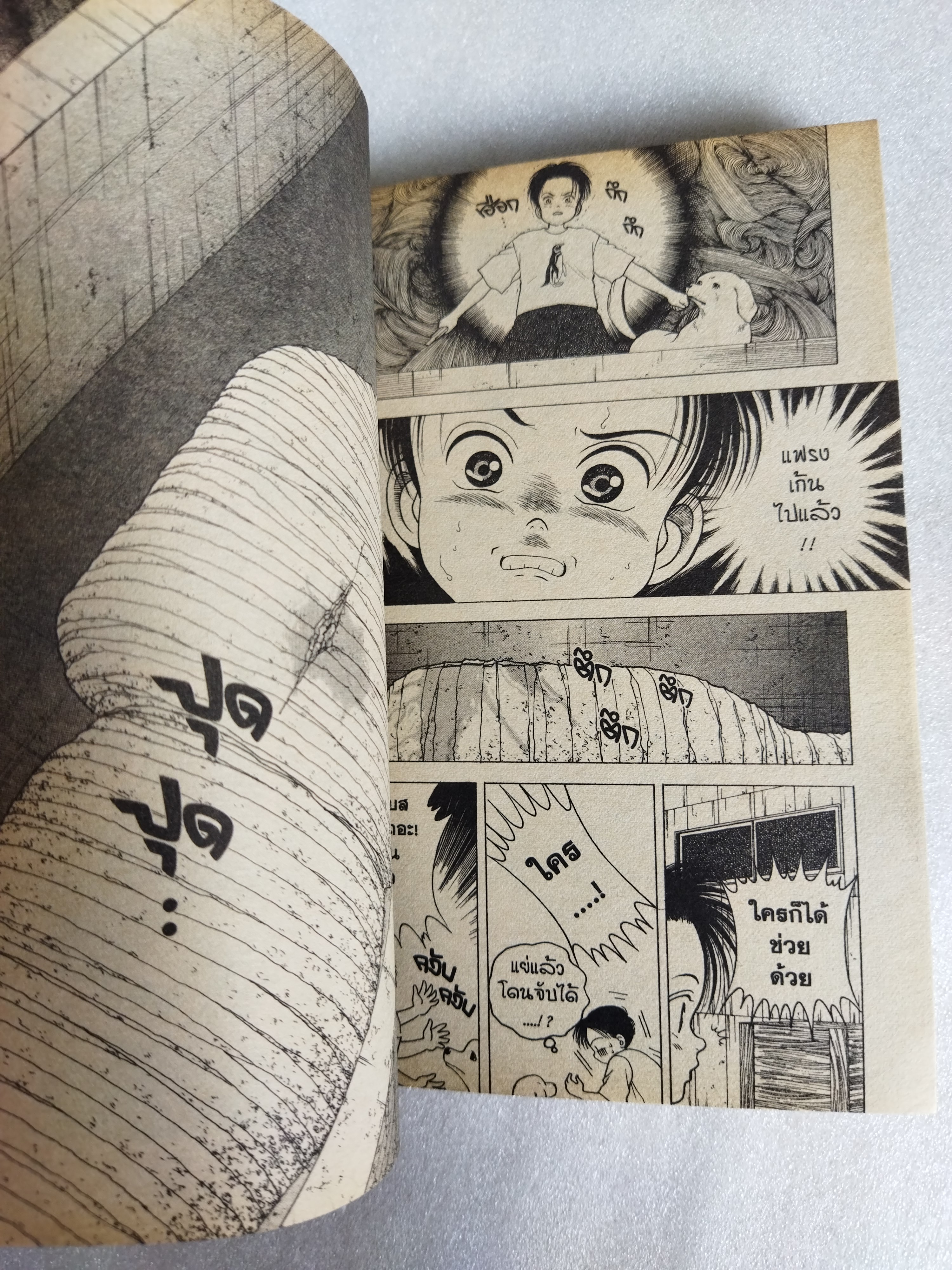 อีนิกม่า 2 เล่มจบ