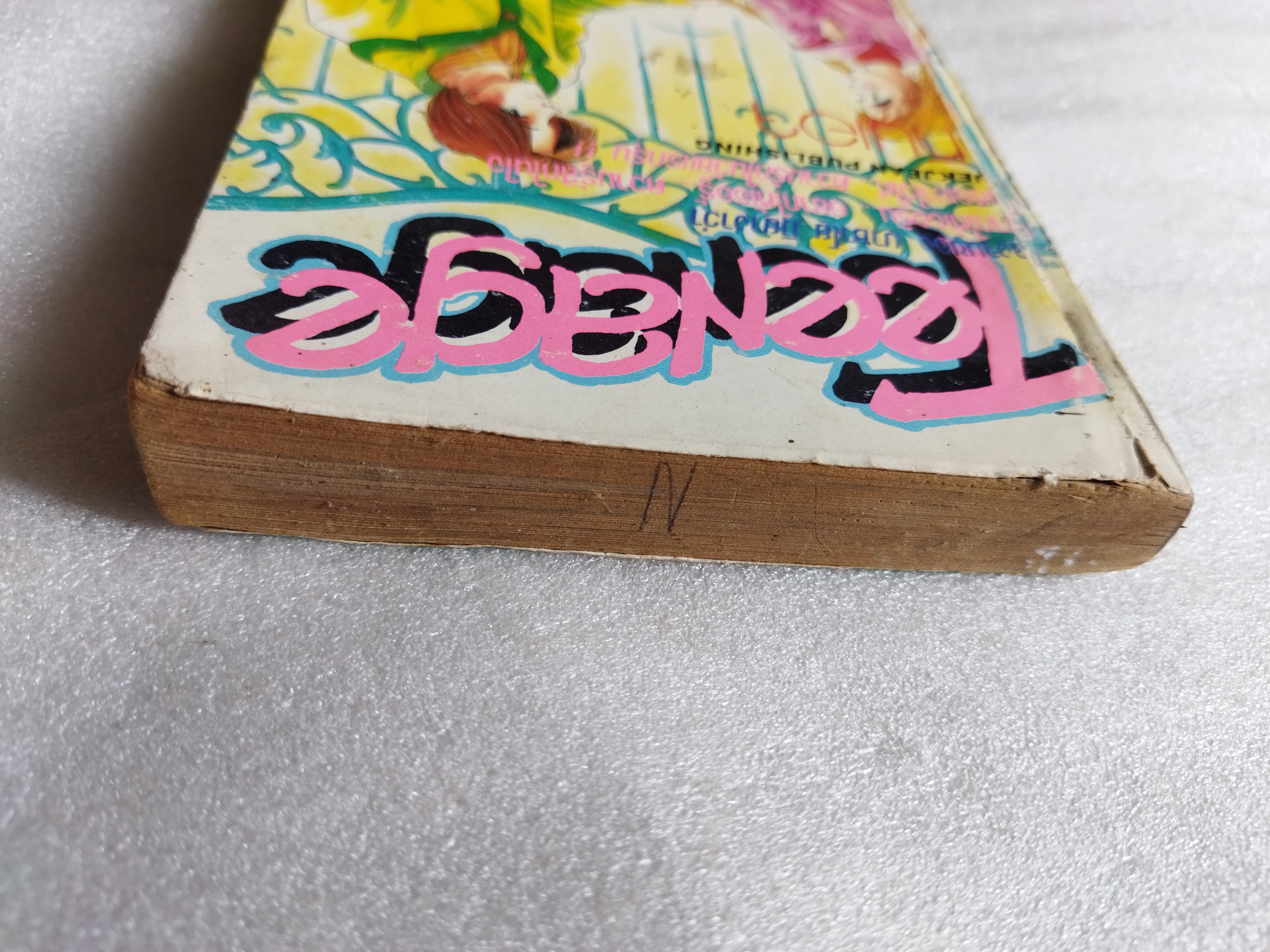 Teenage ทีนเอจ / เล่มเดียวจบ