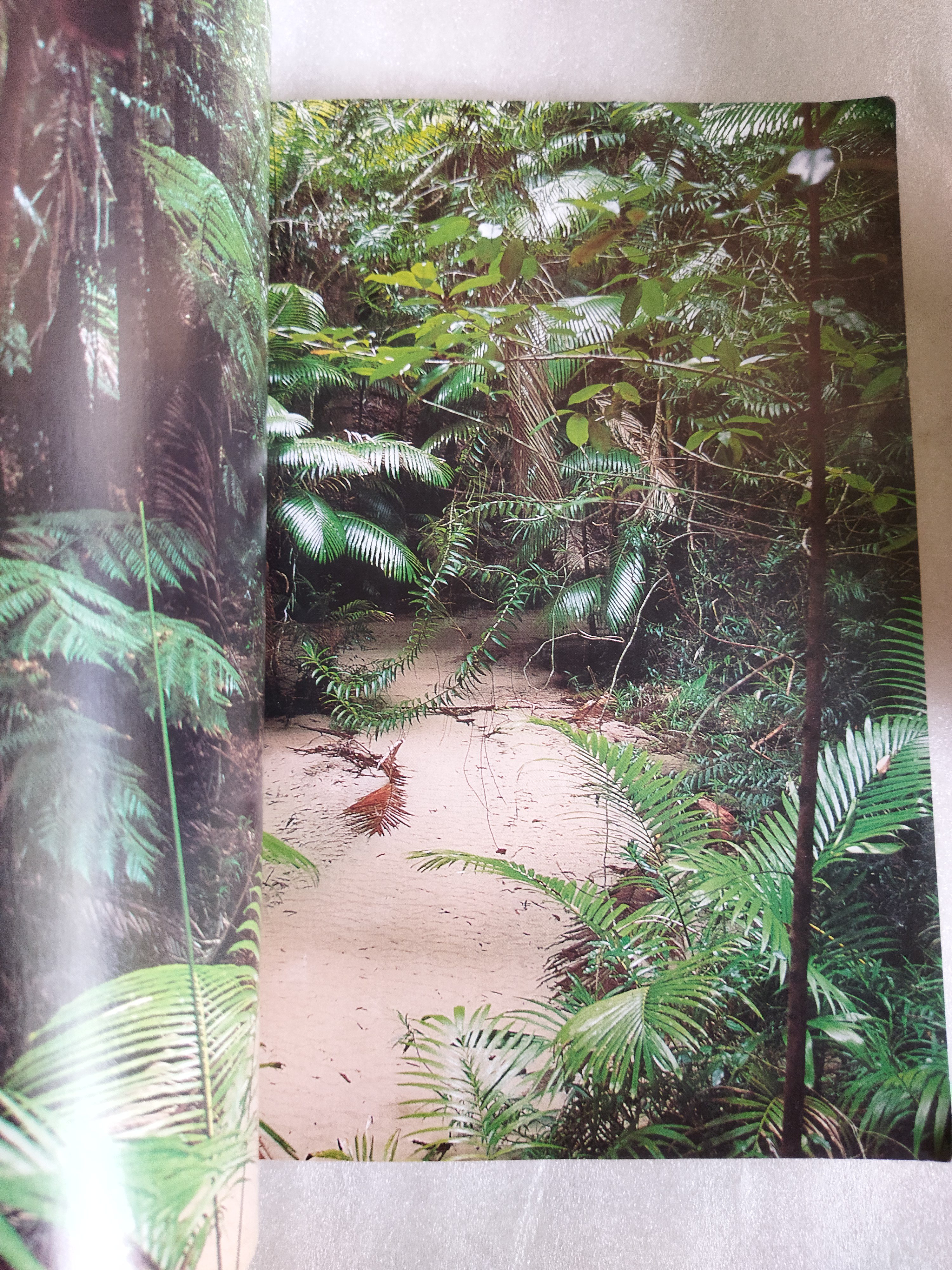 หน้าต่างสู่โลกกว้าง ออสเตรเลีย