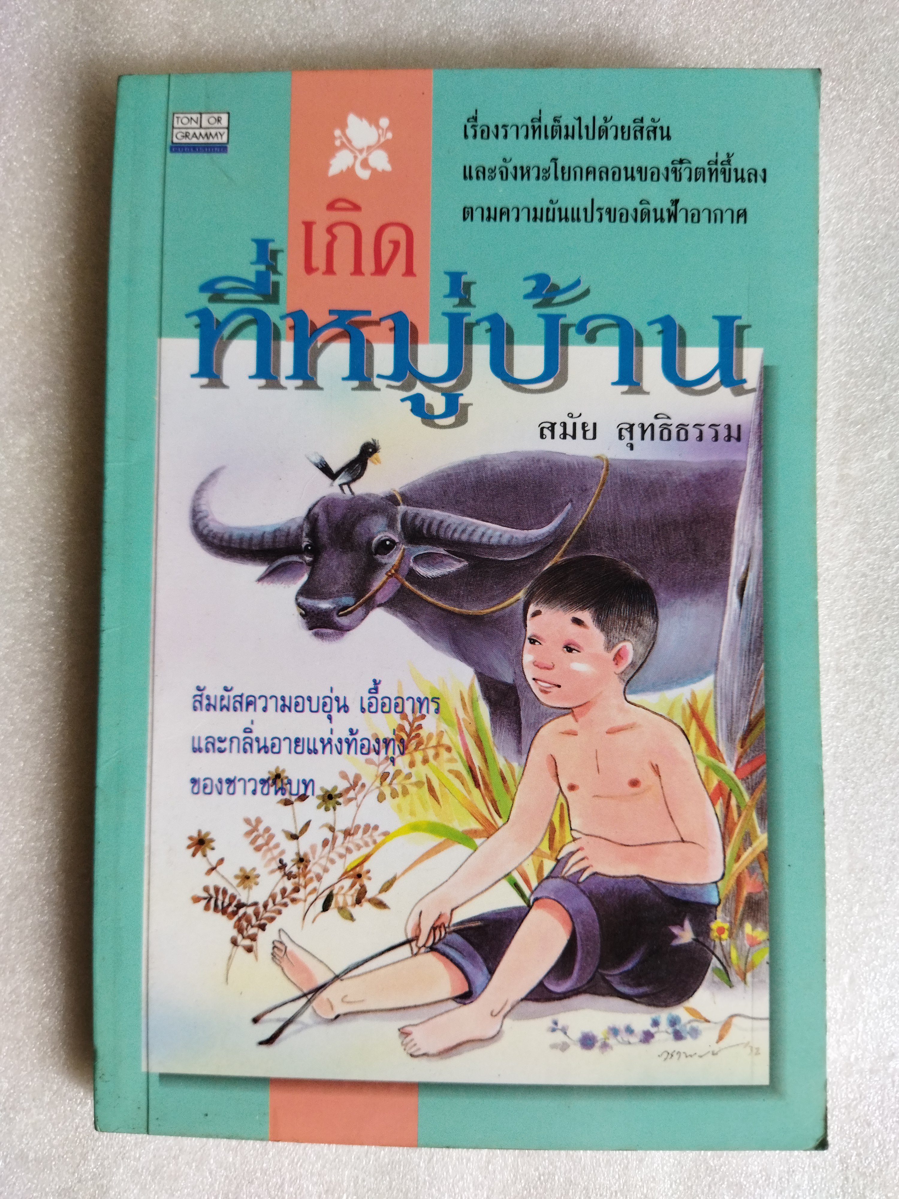 เกิดที่หมู่บ้าน / สมัย สุทธิธรรม