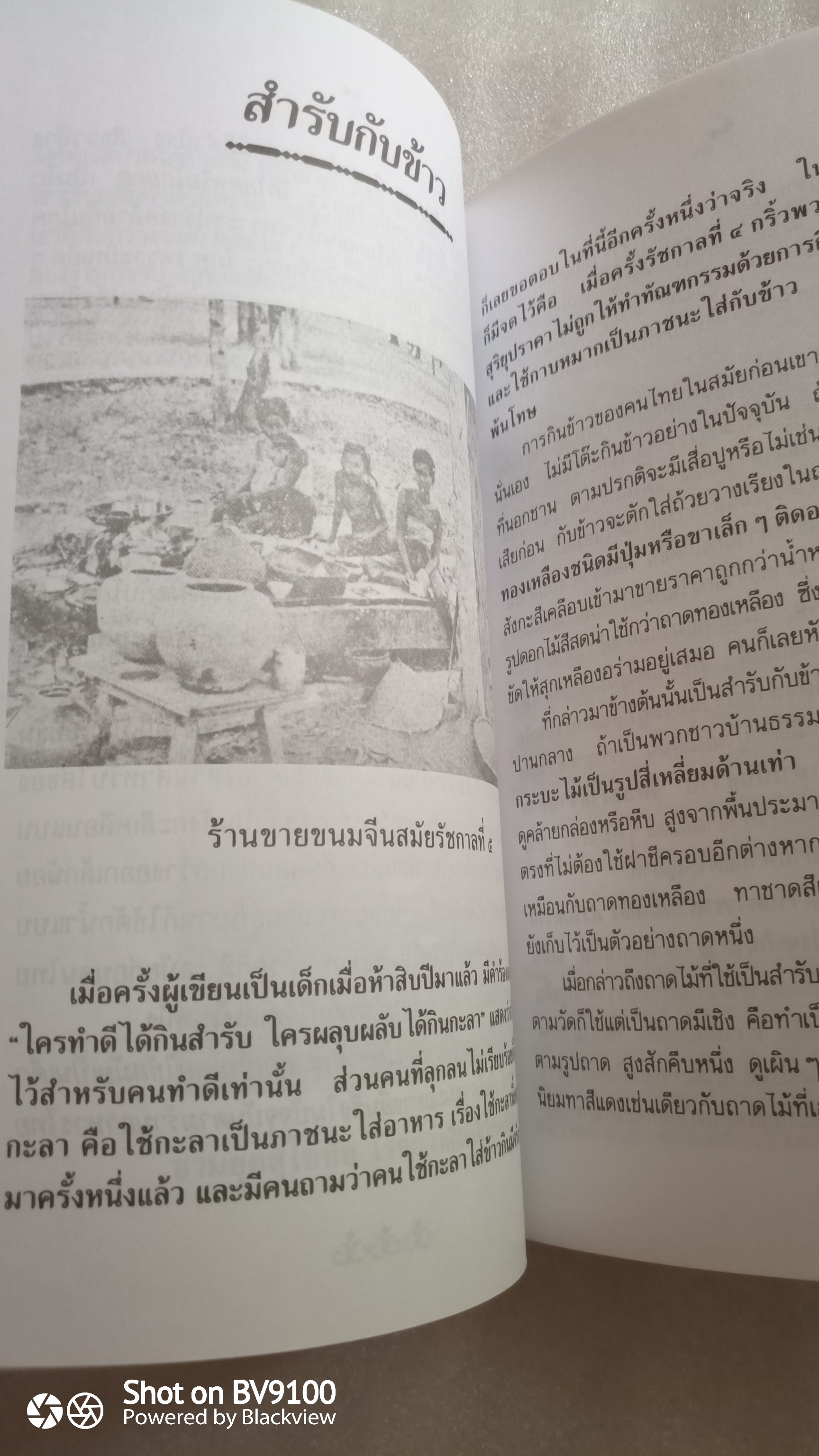 ครัวไทย / ส. พลายน้อย