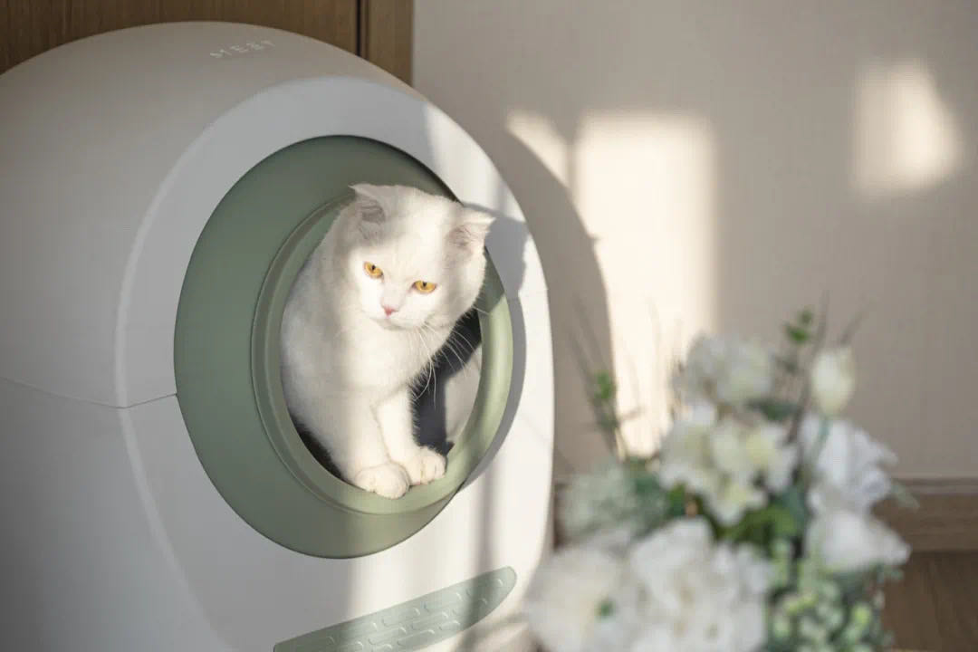 ห้องน้ำแมวอัตโนมัติ MEET VERSION 2