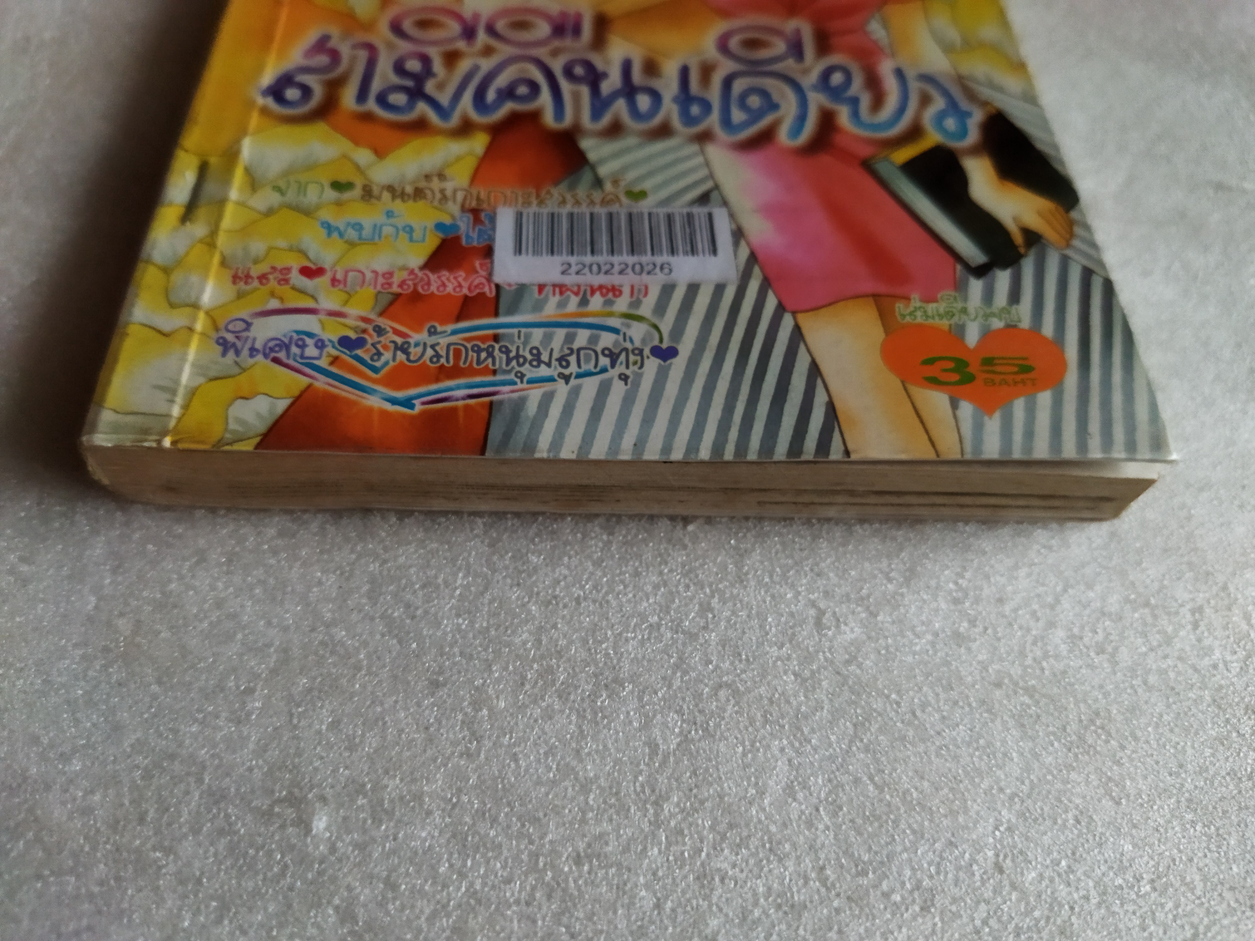 สามีคืนเดียว