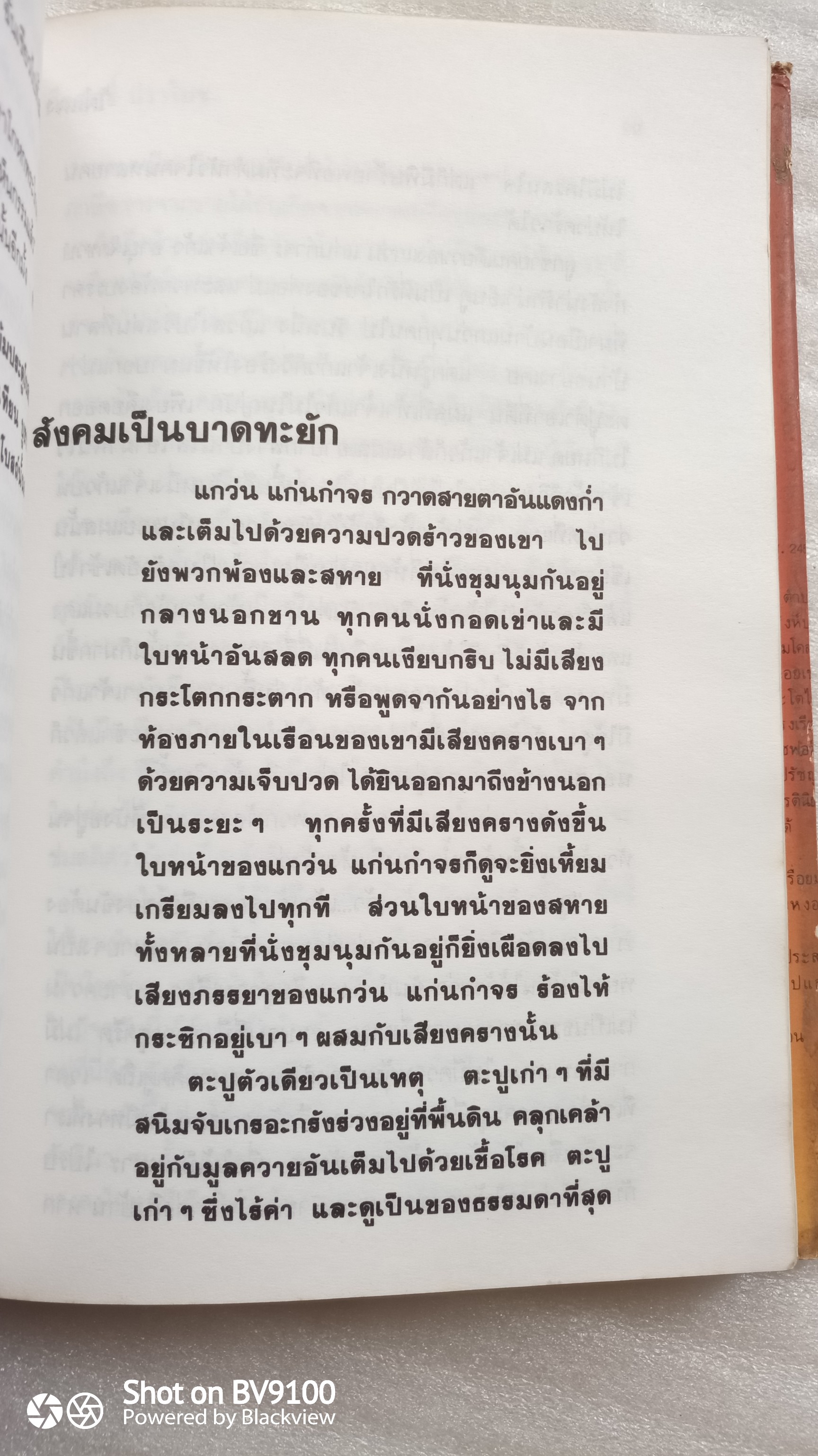 ไผ่แดง /ม.ร.ว. คึกฤทธิ์ ปราโมช