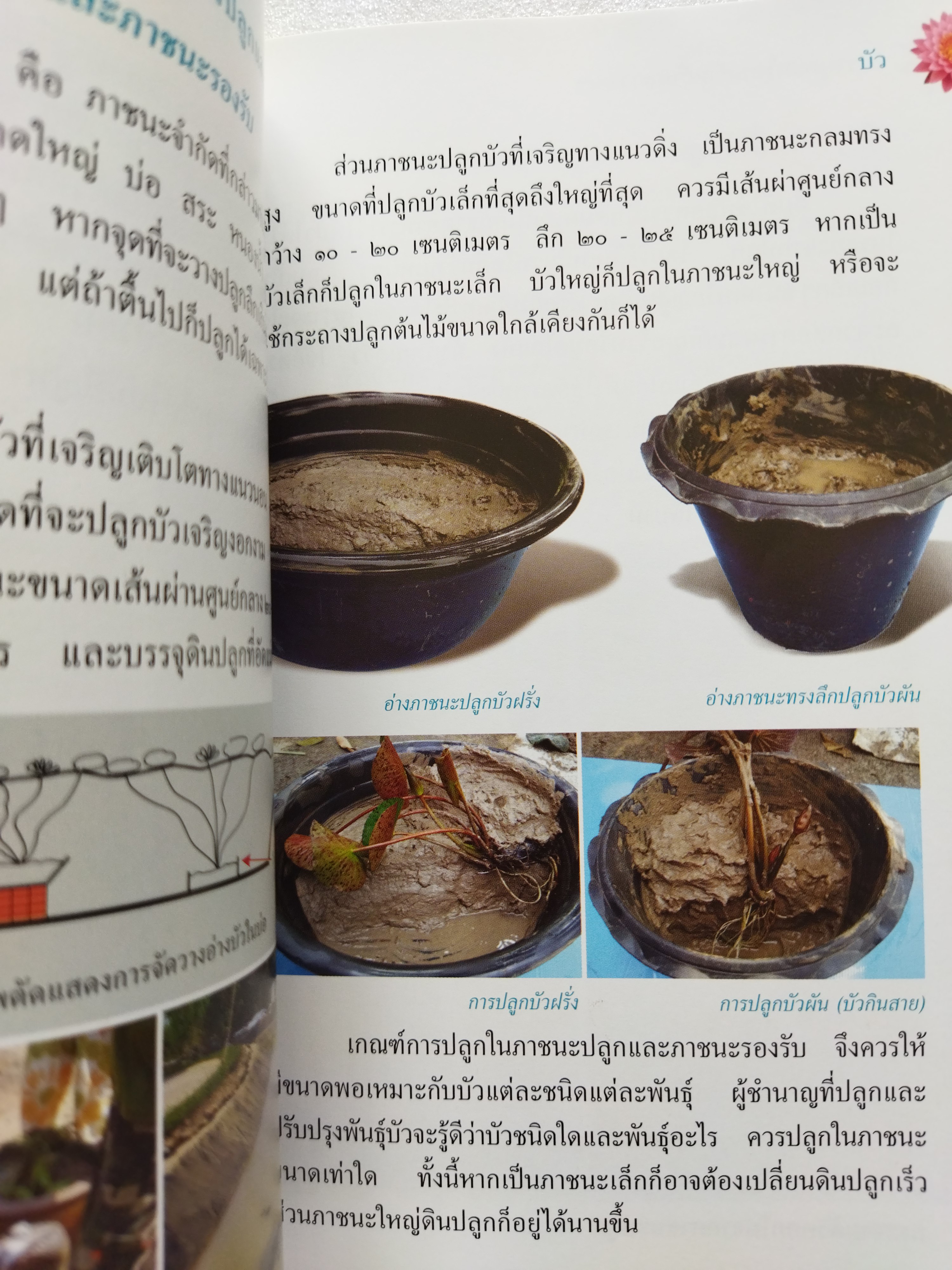 สารานุกรมไทย สำหรับเยาวชน เล่มที่ ๑๓