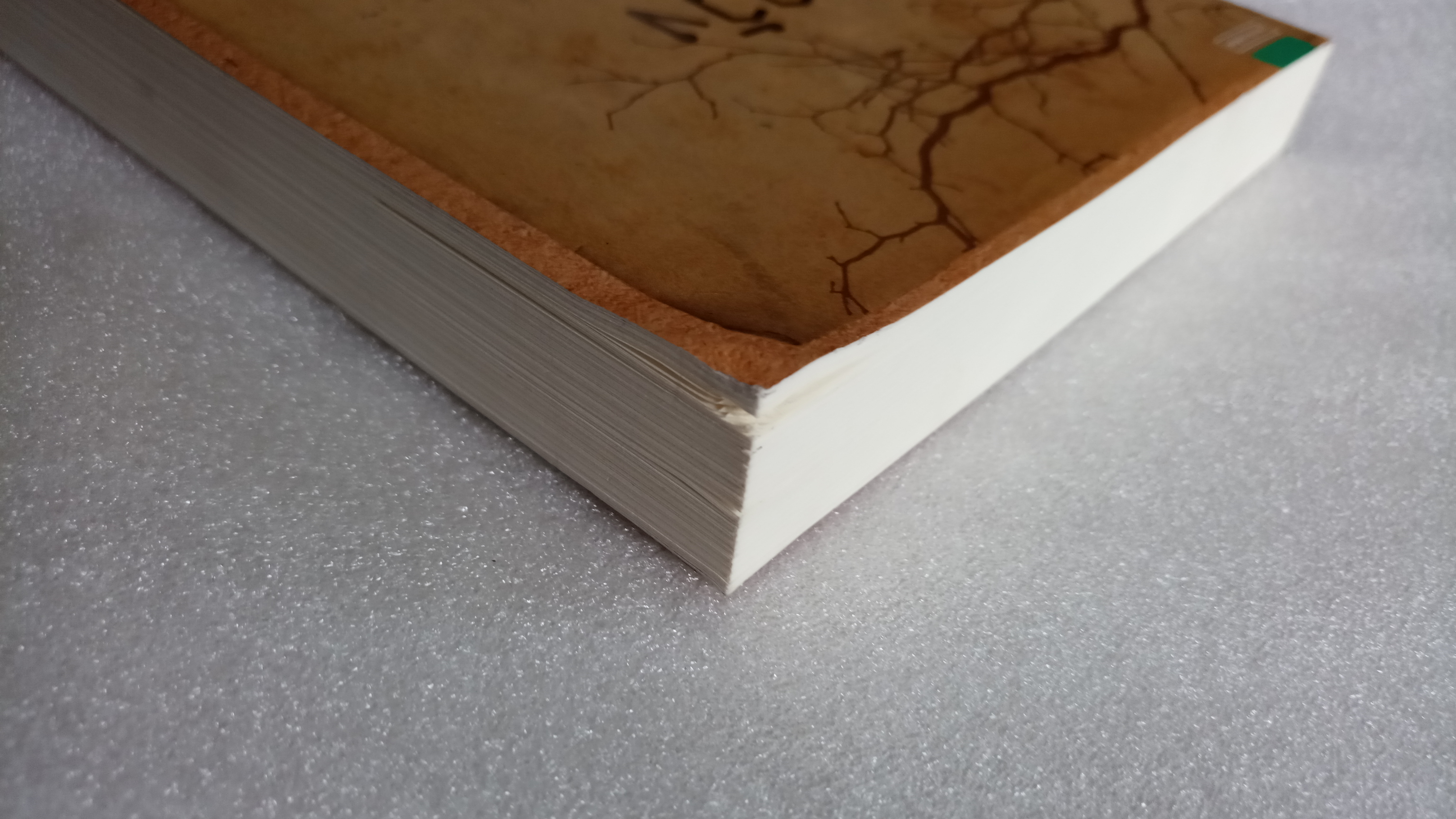 ชาววังช่างเล่าเรื่อง ( ผี ) / จินต์ชญา