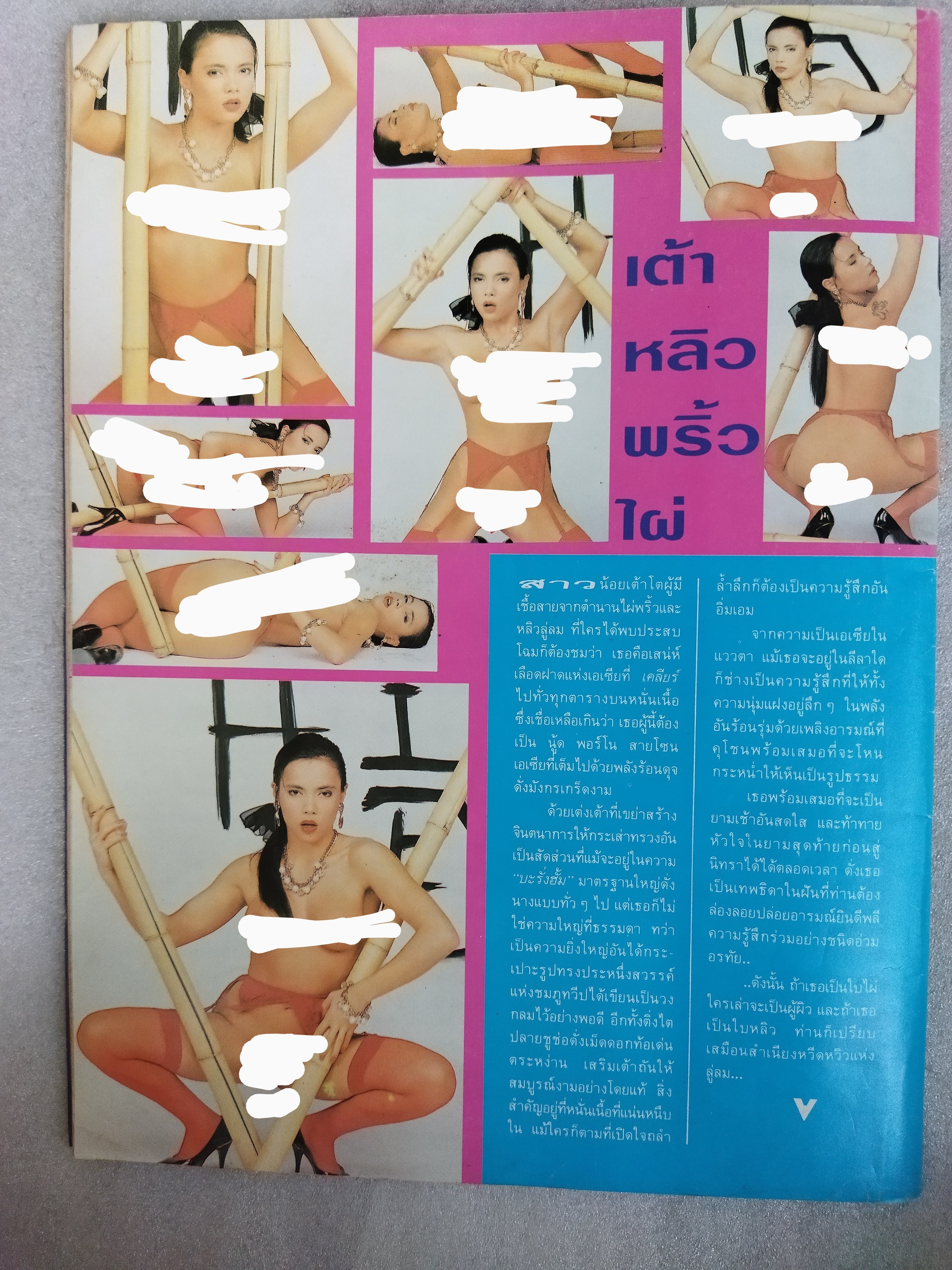 วีไอพี 3