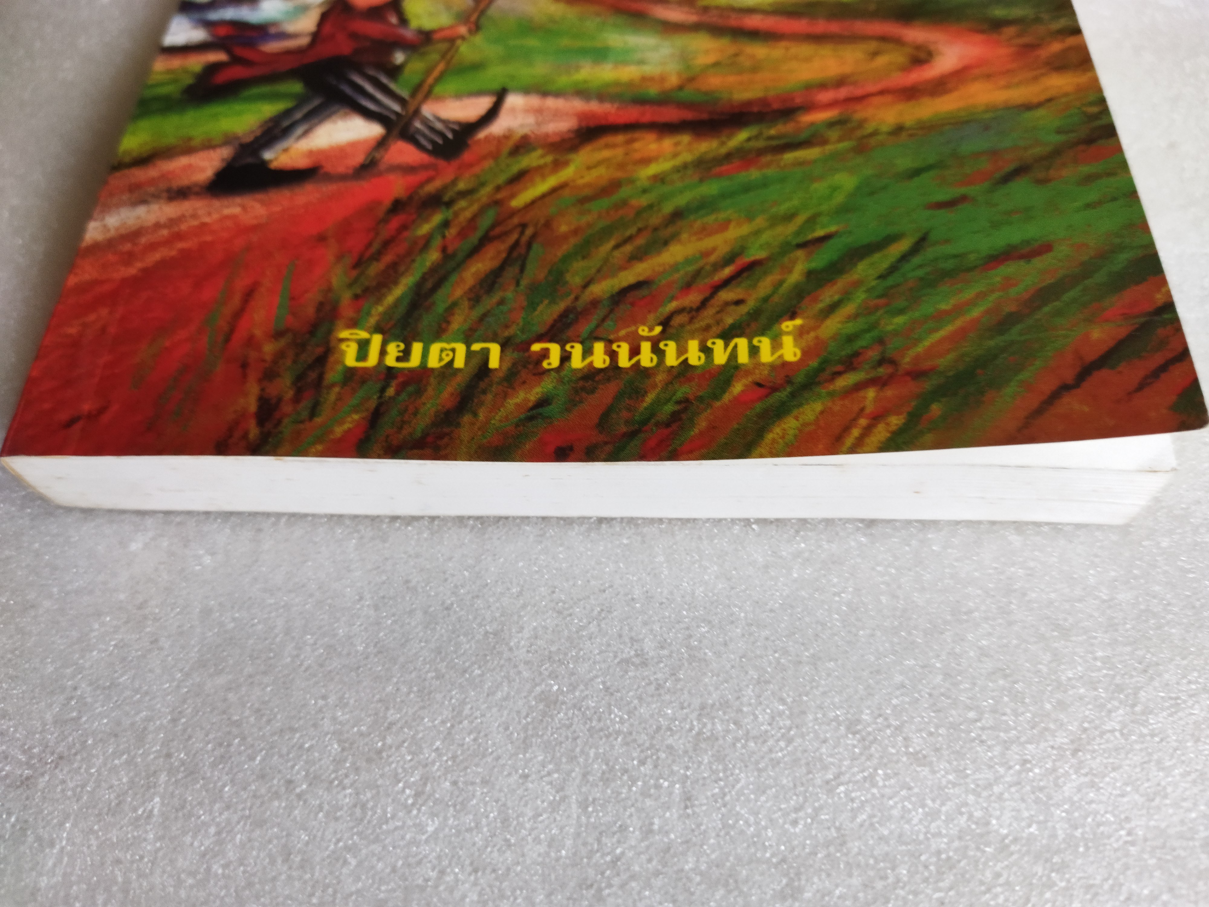 พ่อมดเมืองมายา / ปิยตา วนนันทน์